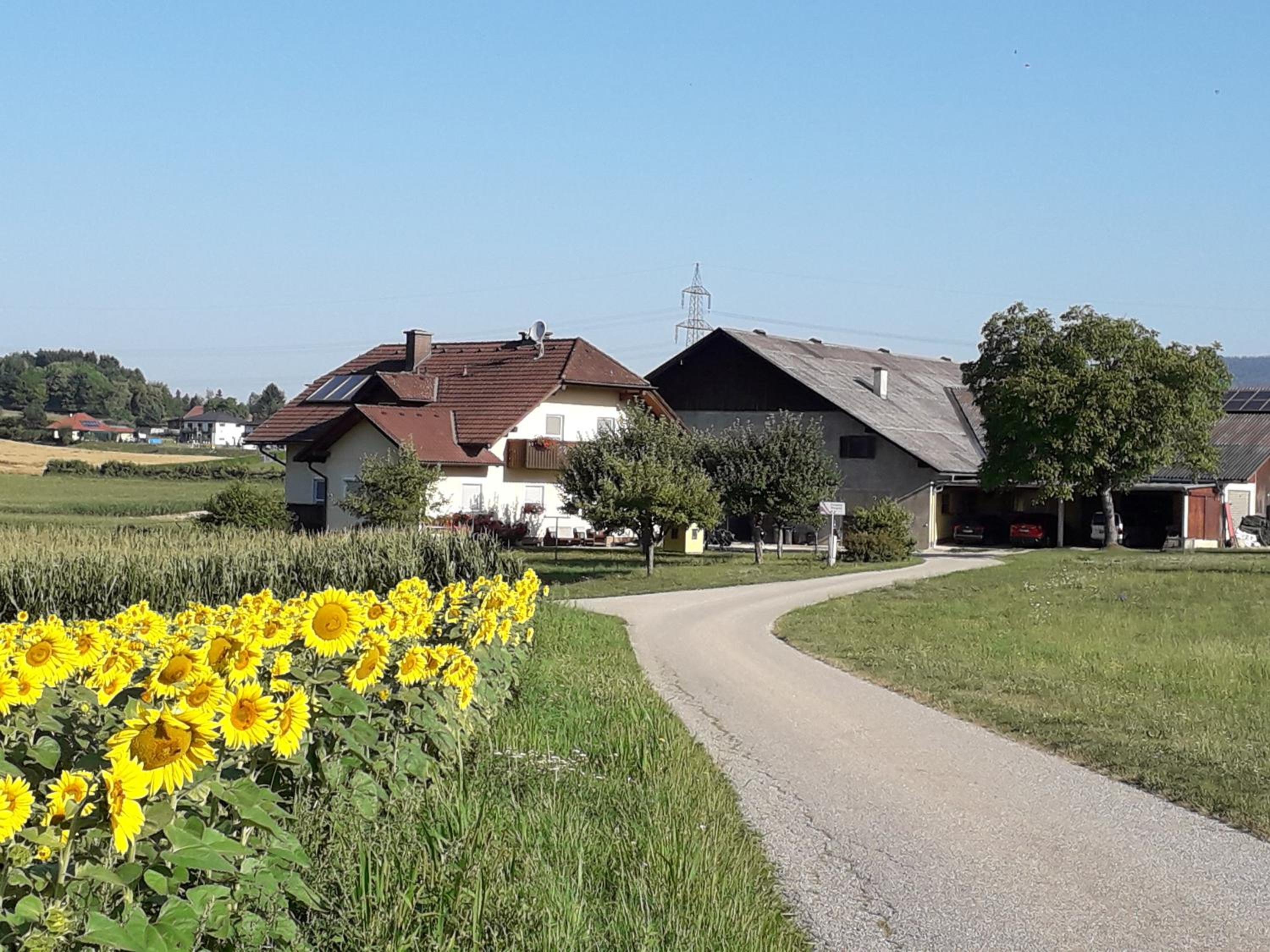 Gästehaus Lipnik