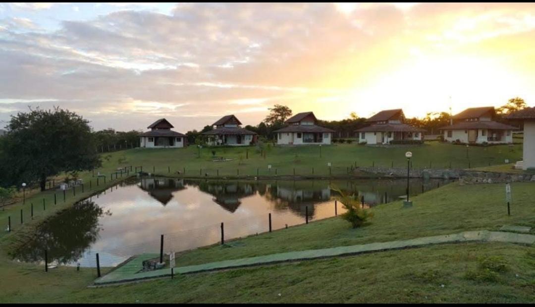 Wintervilleflat904