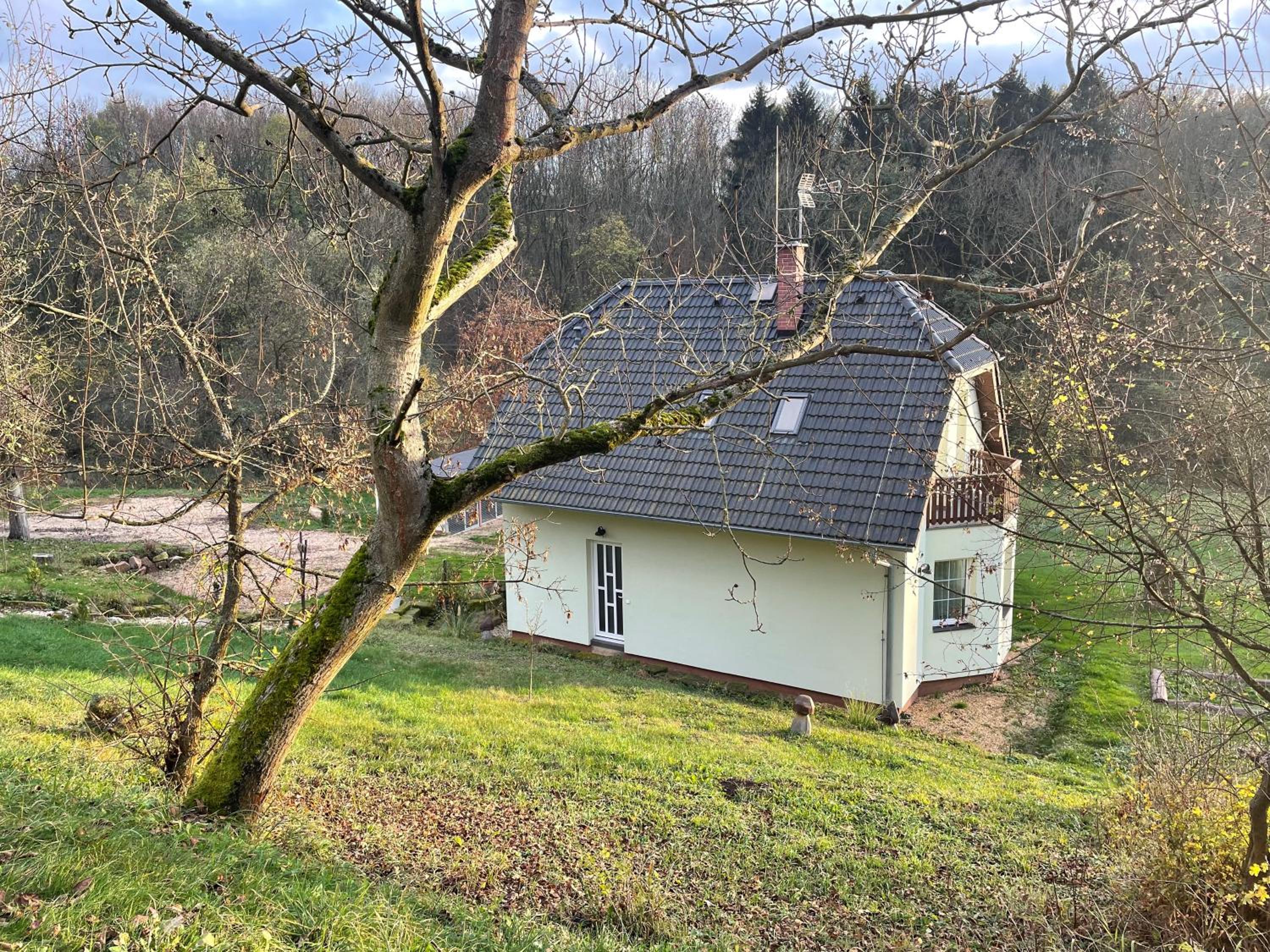 Veselka