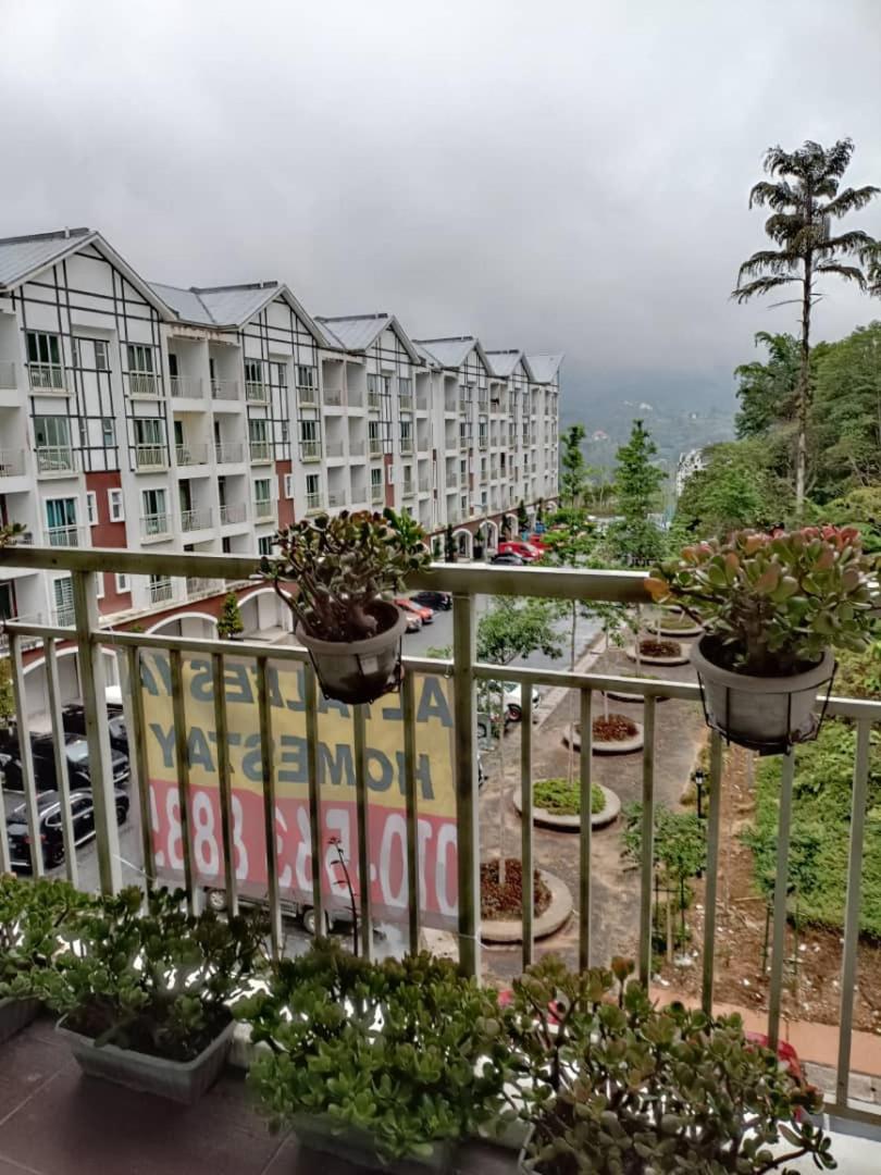 Alyaleesya homestay muslim night market