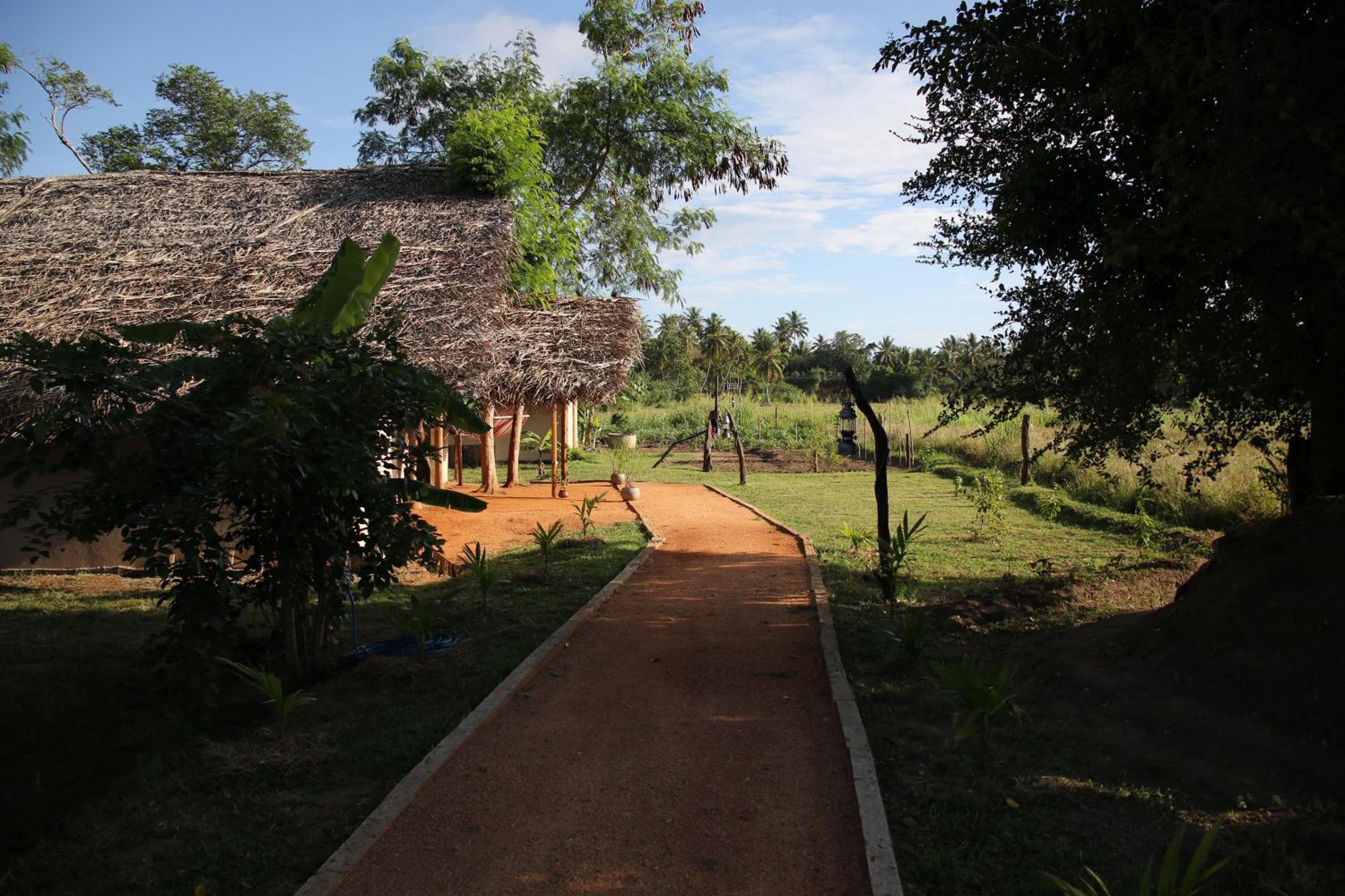 Nirvaan Safari Lodge view 3