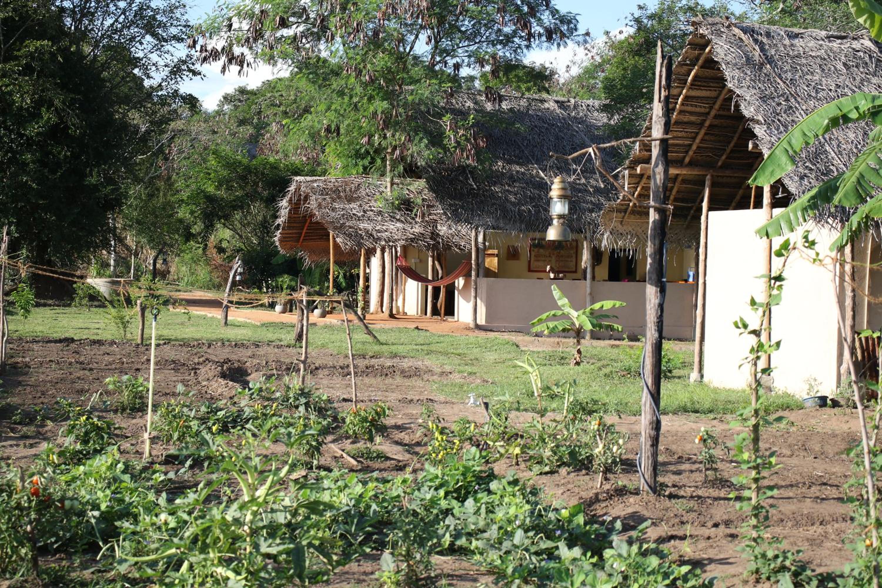 Nirvaan Safari Lodge view 2