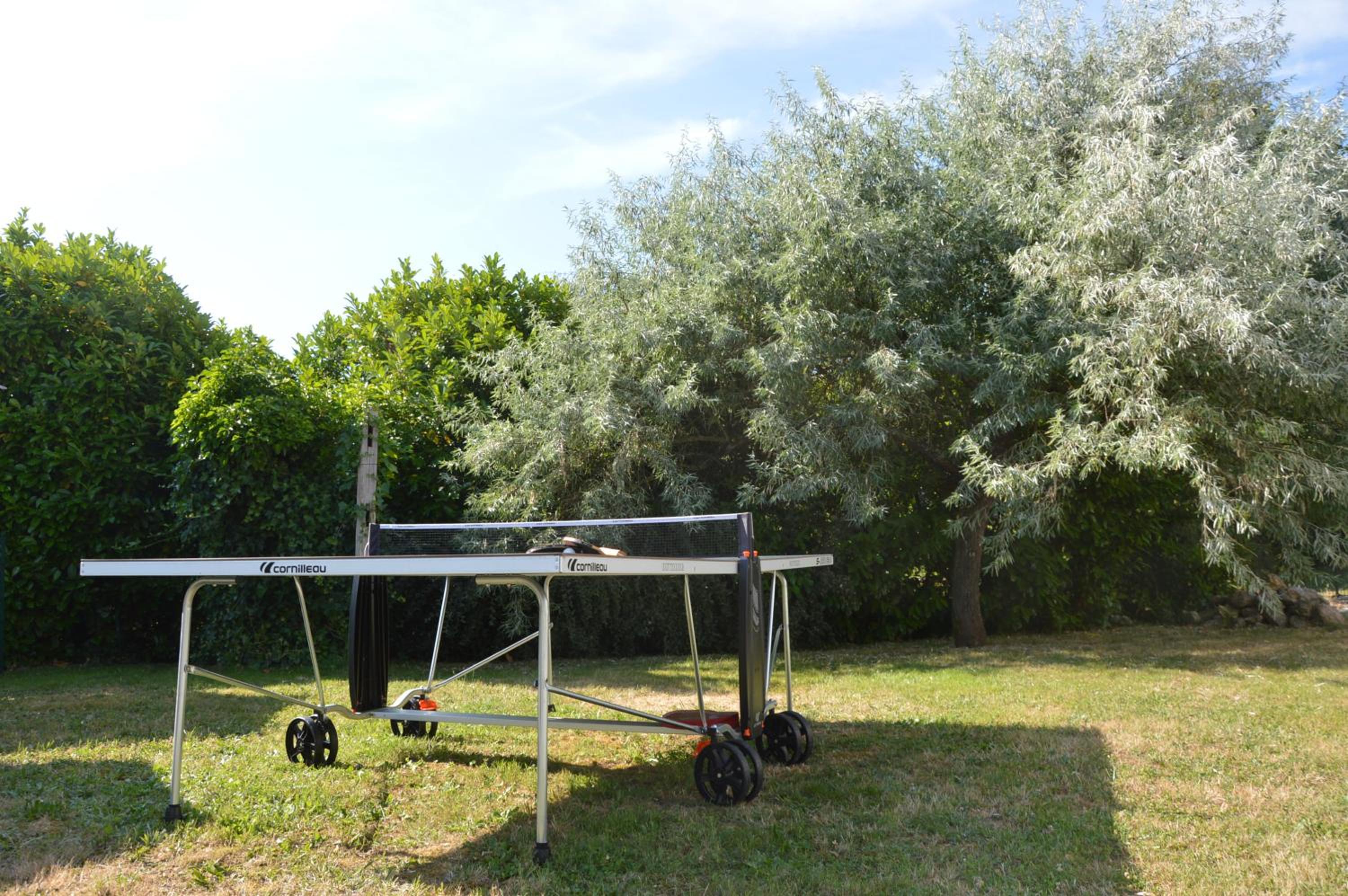 Photo 46
