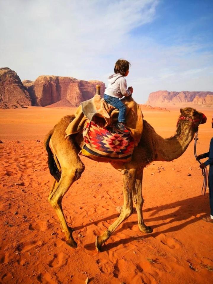 Wadi Rum Meteorite camp