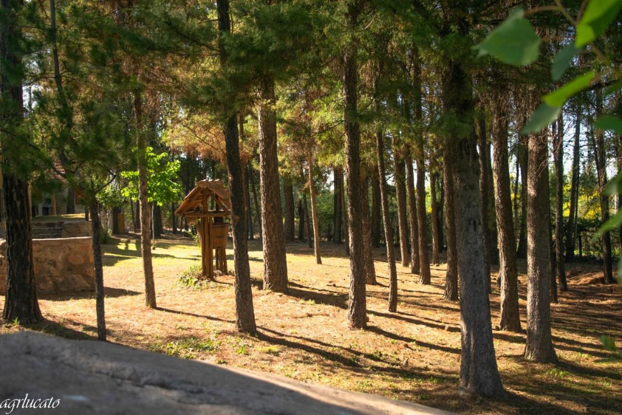 El Pinar Suizo
