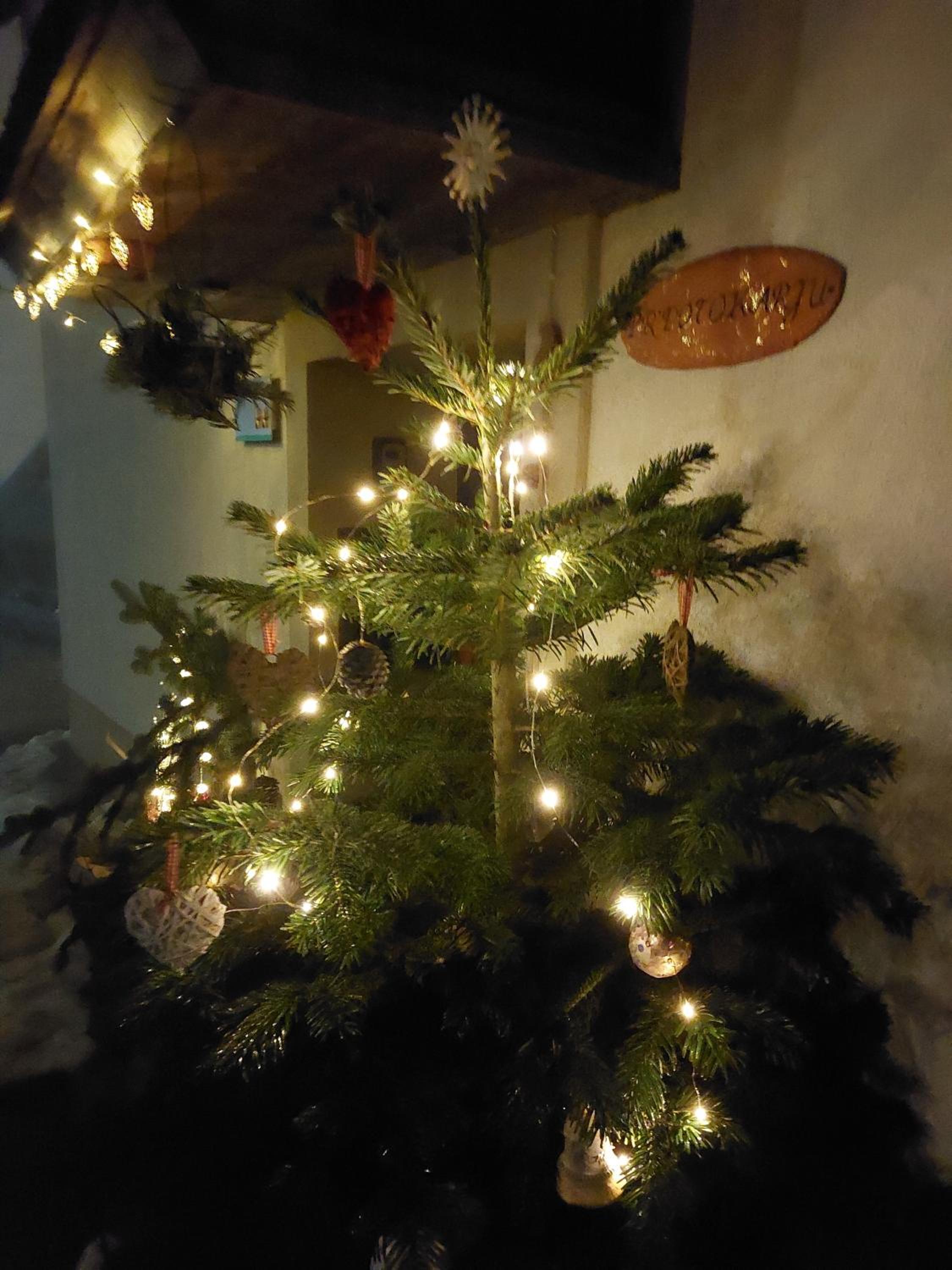 Photo 40