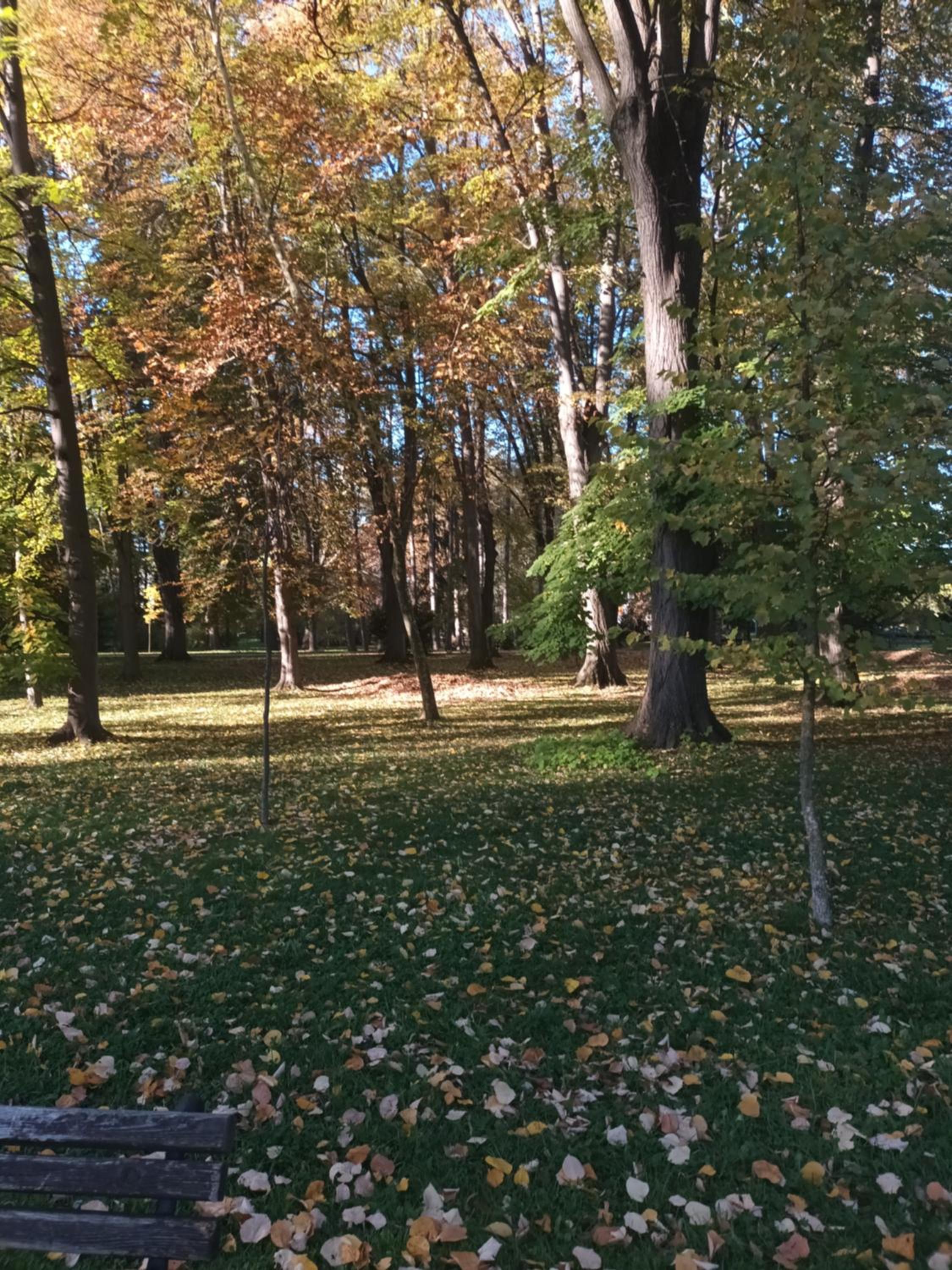Photo 39