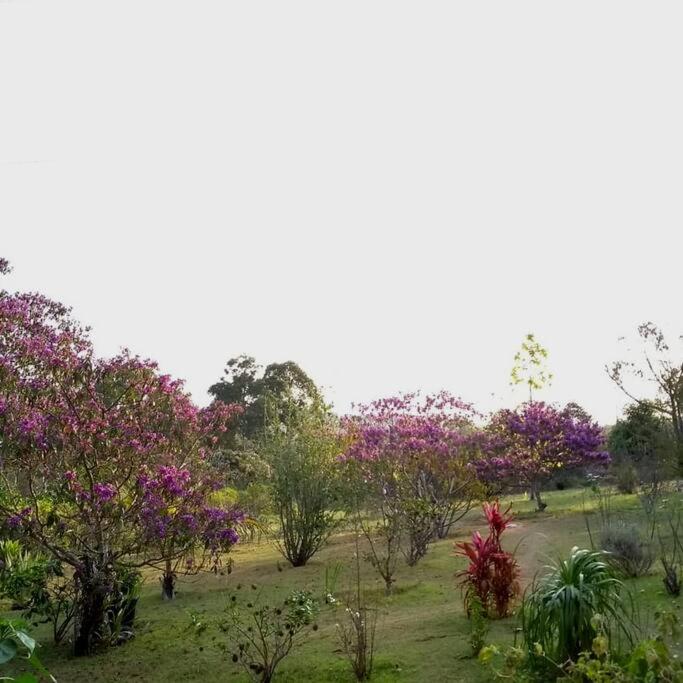 Sitio Boa Fé - 300m das cachoeiras Moinho e Salomão