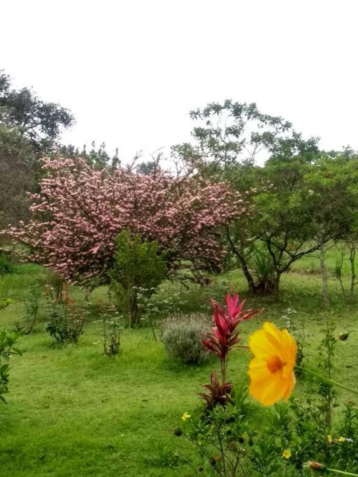 Sitio Boa Fé - 300m das cachoeiras Moinho e Salomão