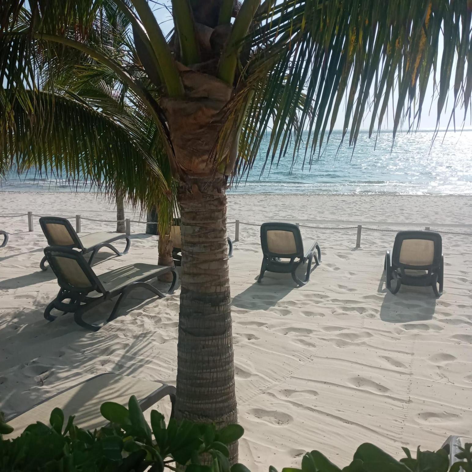 Swim the Caribbean & Work with a View