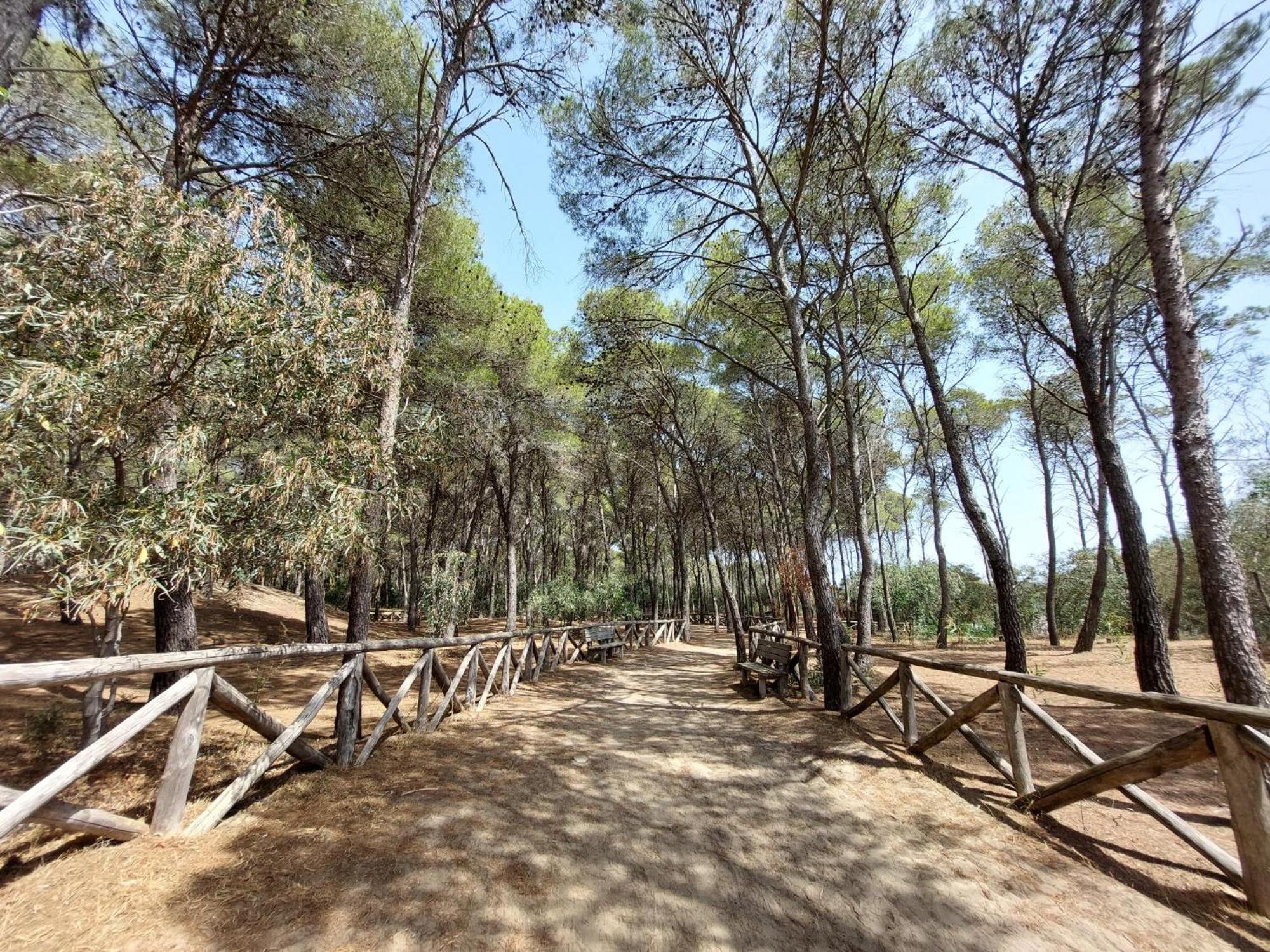 Agriturismo La Stornara, Petfriendly & EV Friendly