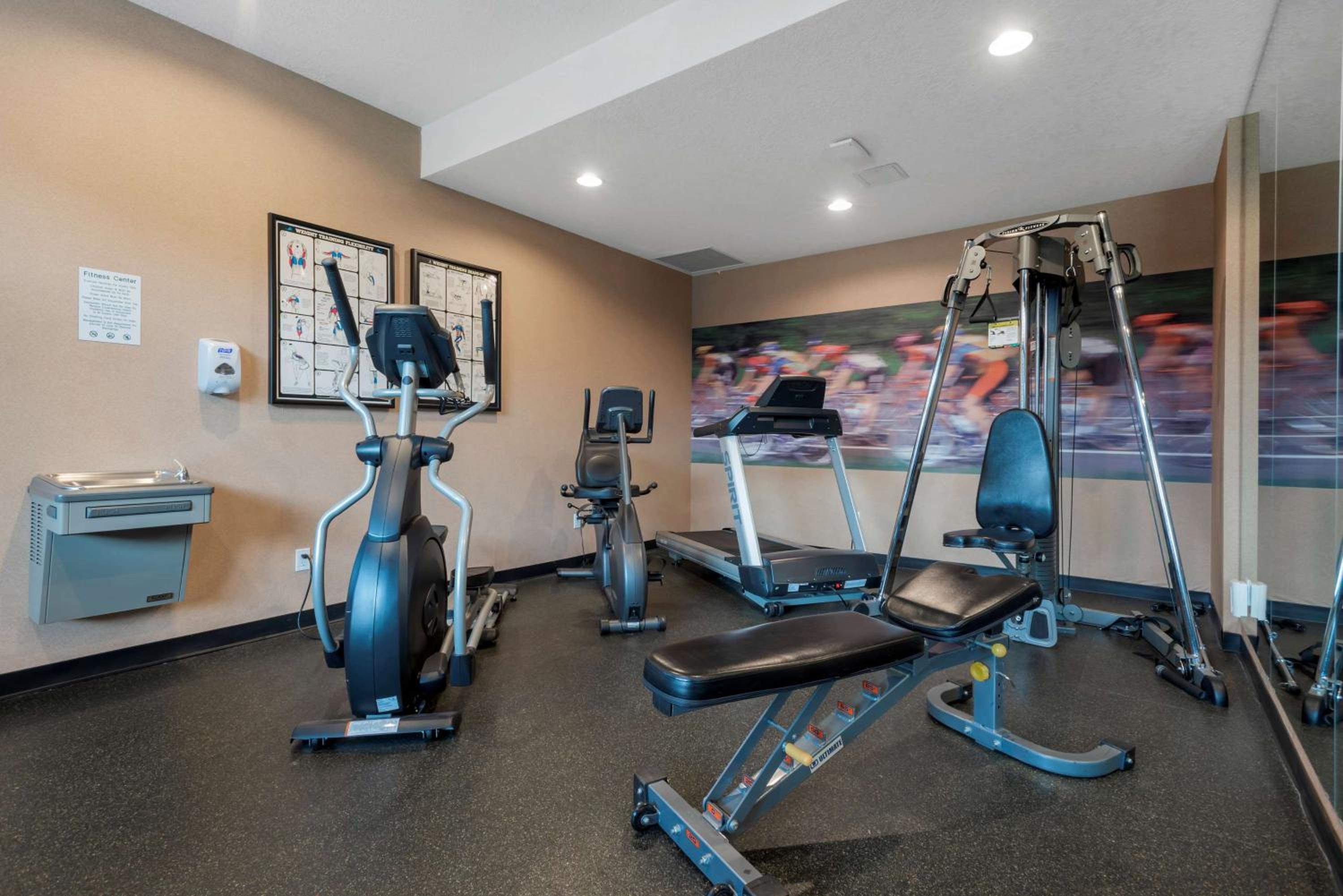 Fernie Vacations - Best Western Plus Fernie Mountain Lodge - Property Image 5