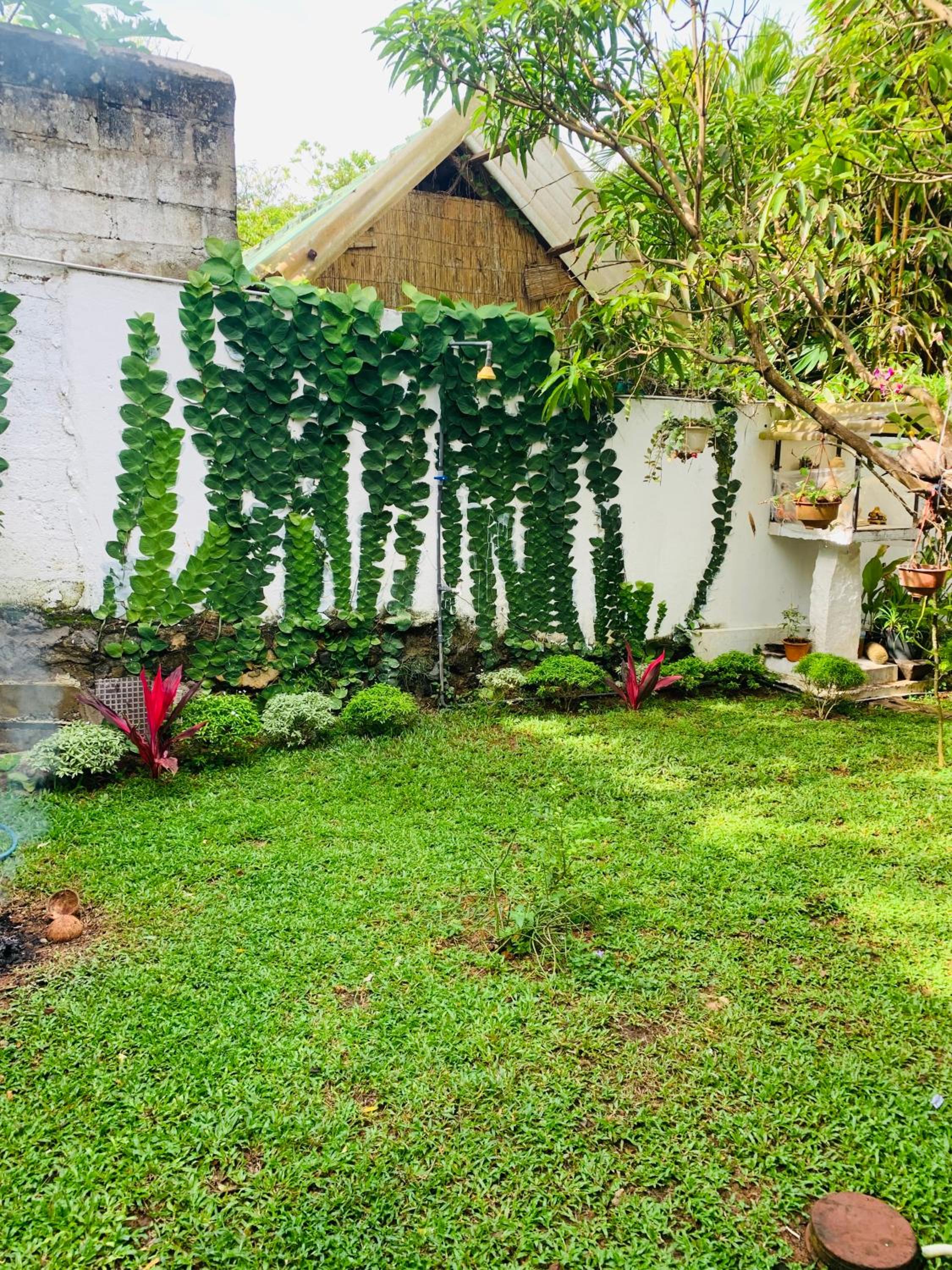 Ramesh Guesthouse view 2