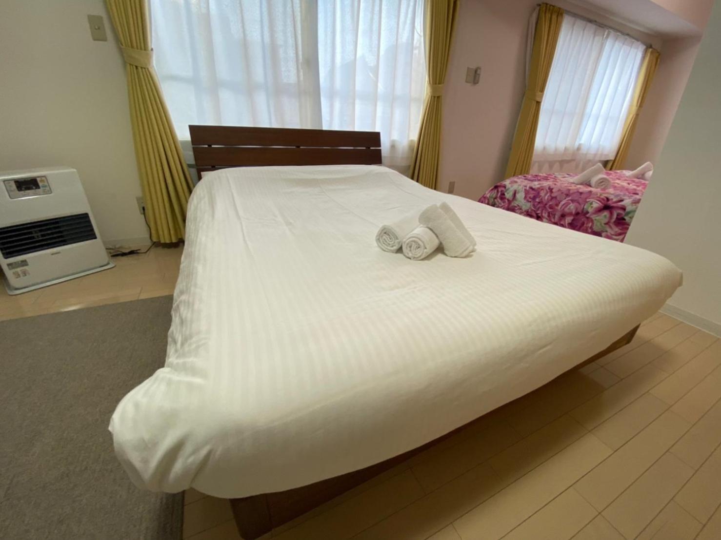 Downtown area Spacious cozy room Susukino IK301 view 3
