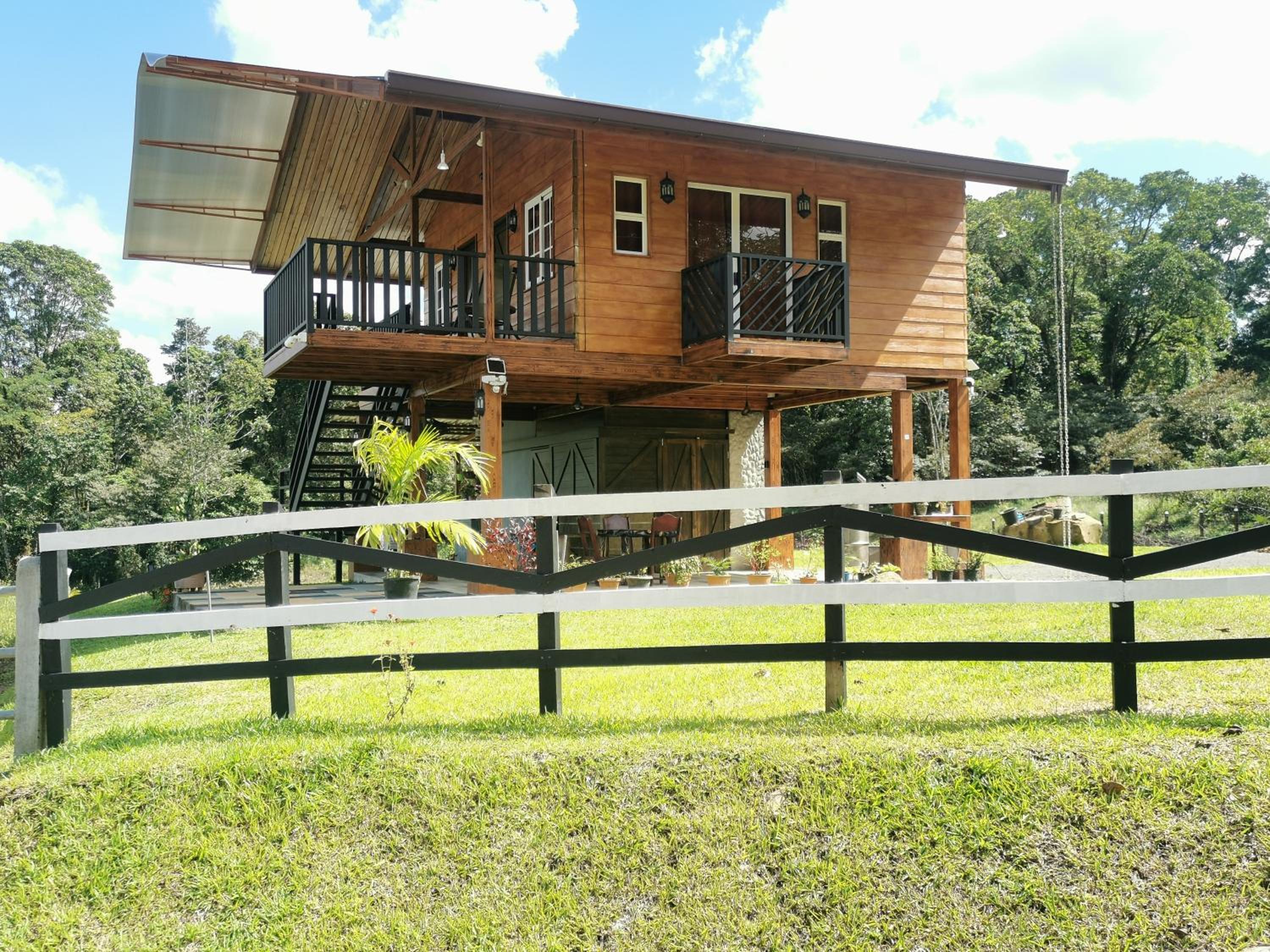 Photo 7