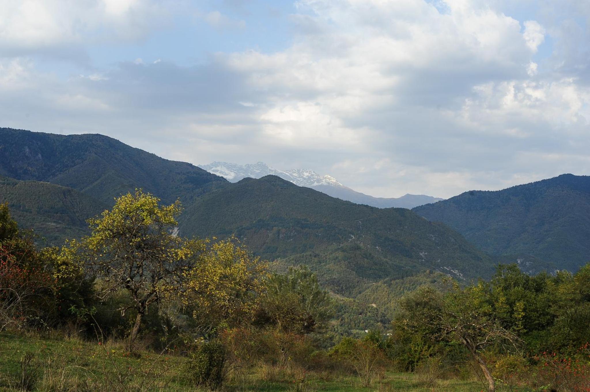 Photo 24