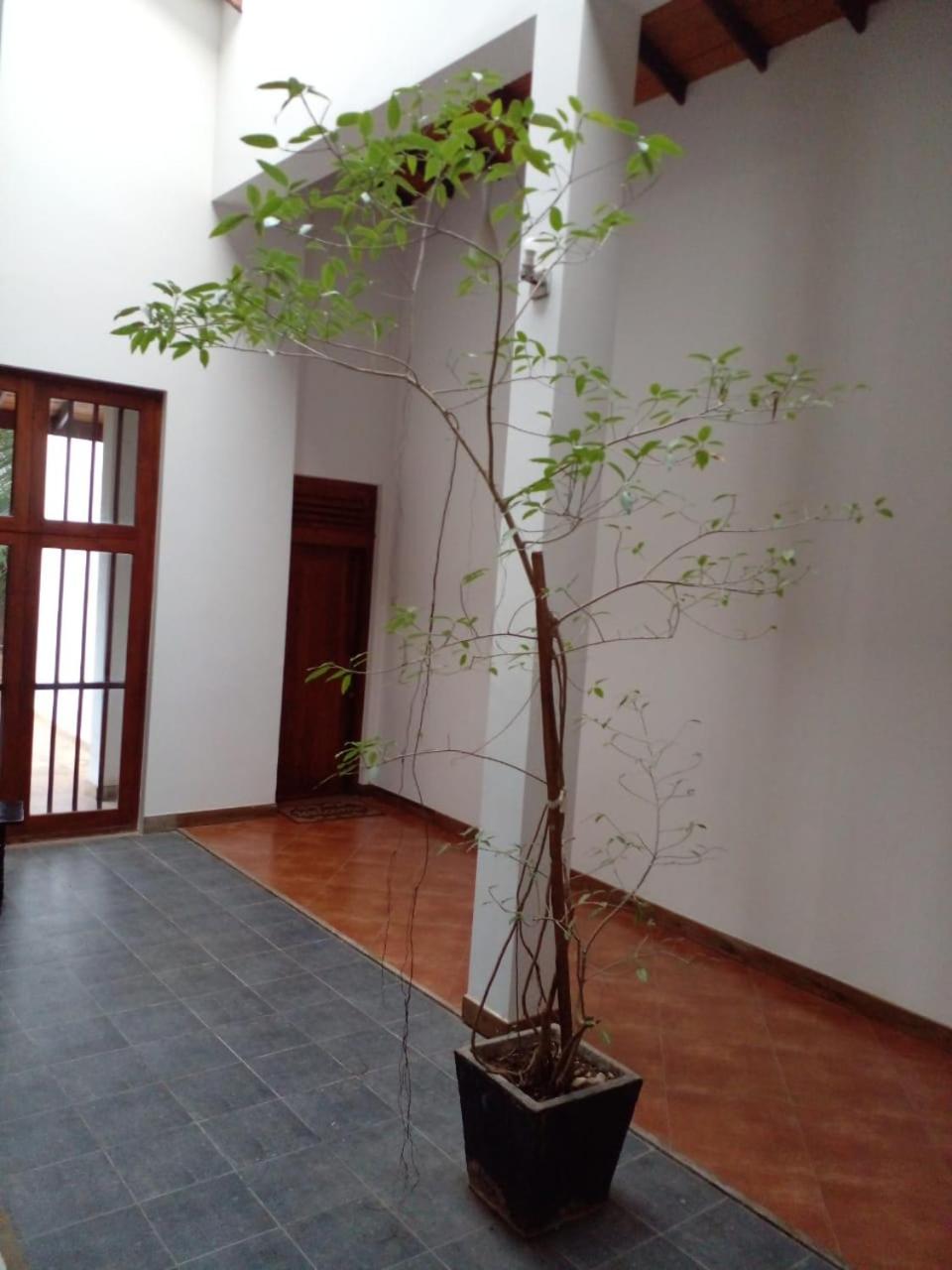 Enola Holiday Resort view 4