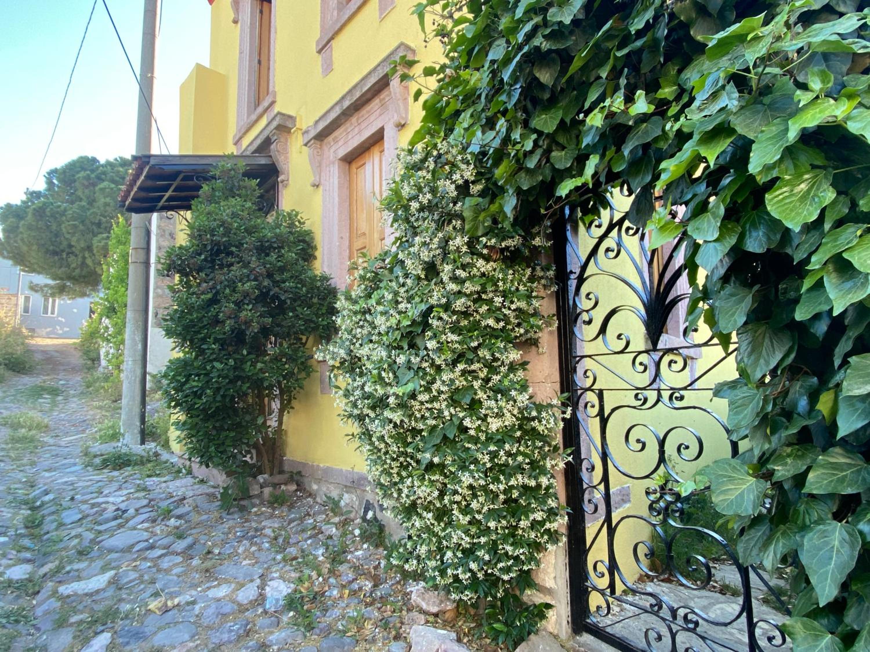 Photo 38