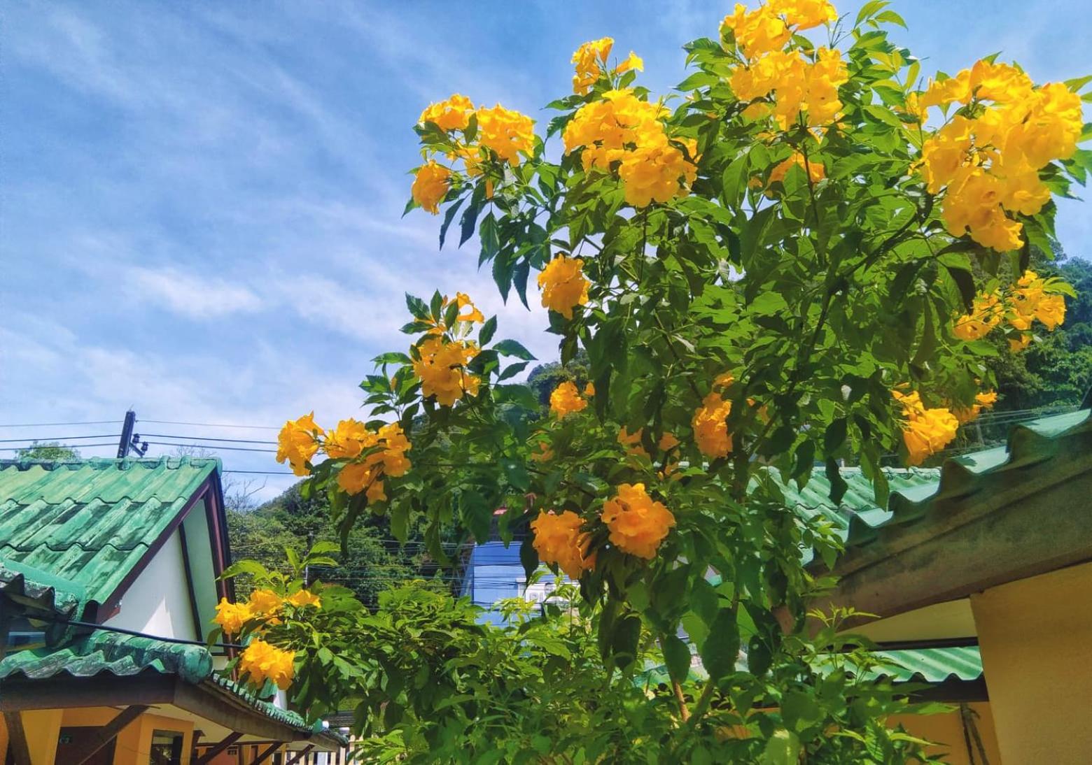 Sangtawan Resort