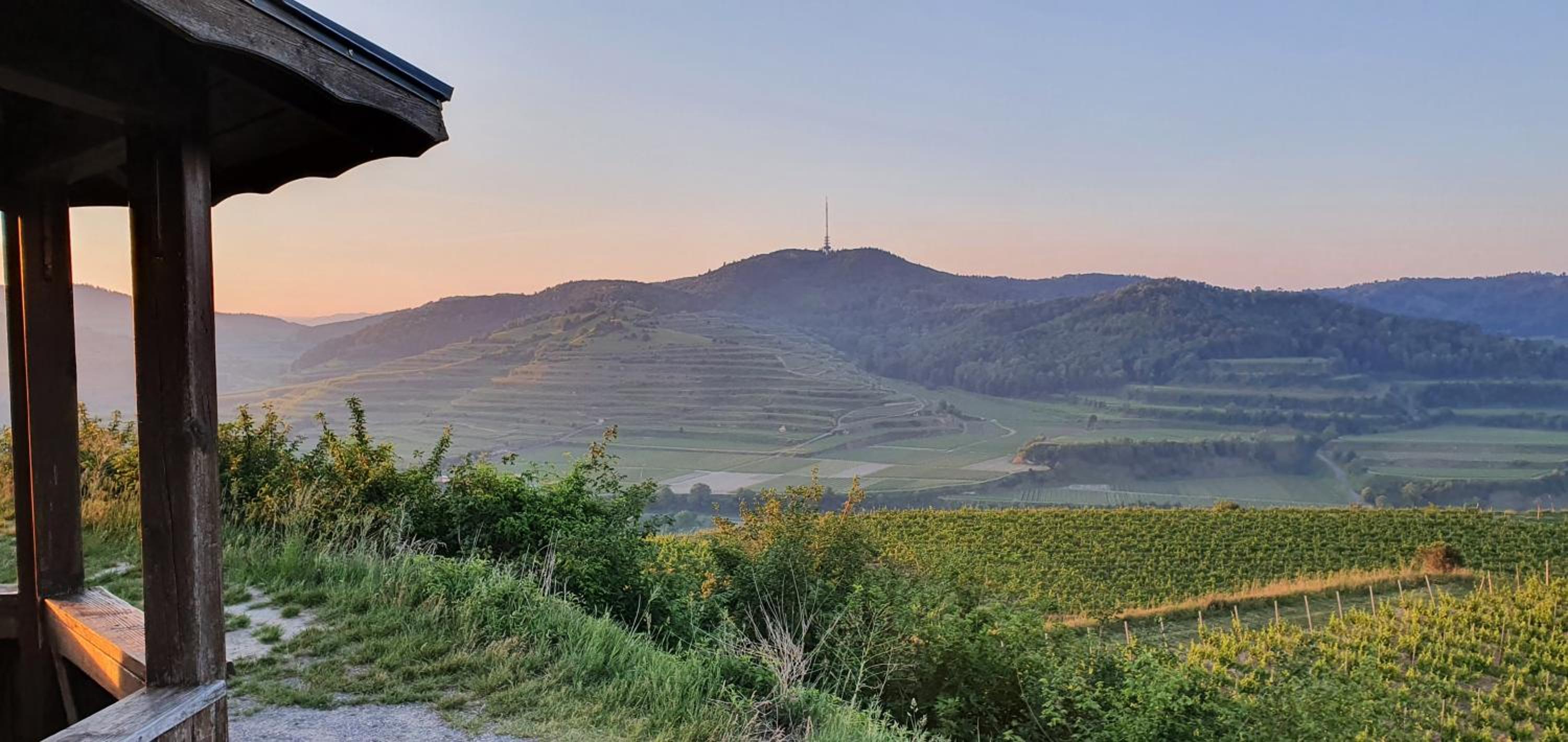 Gästehaus Casa Luna - Paradiesische Ferienwohnungen am Kaiserstuhl!