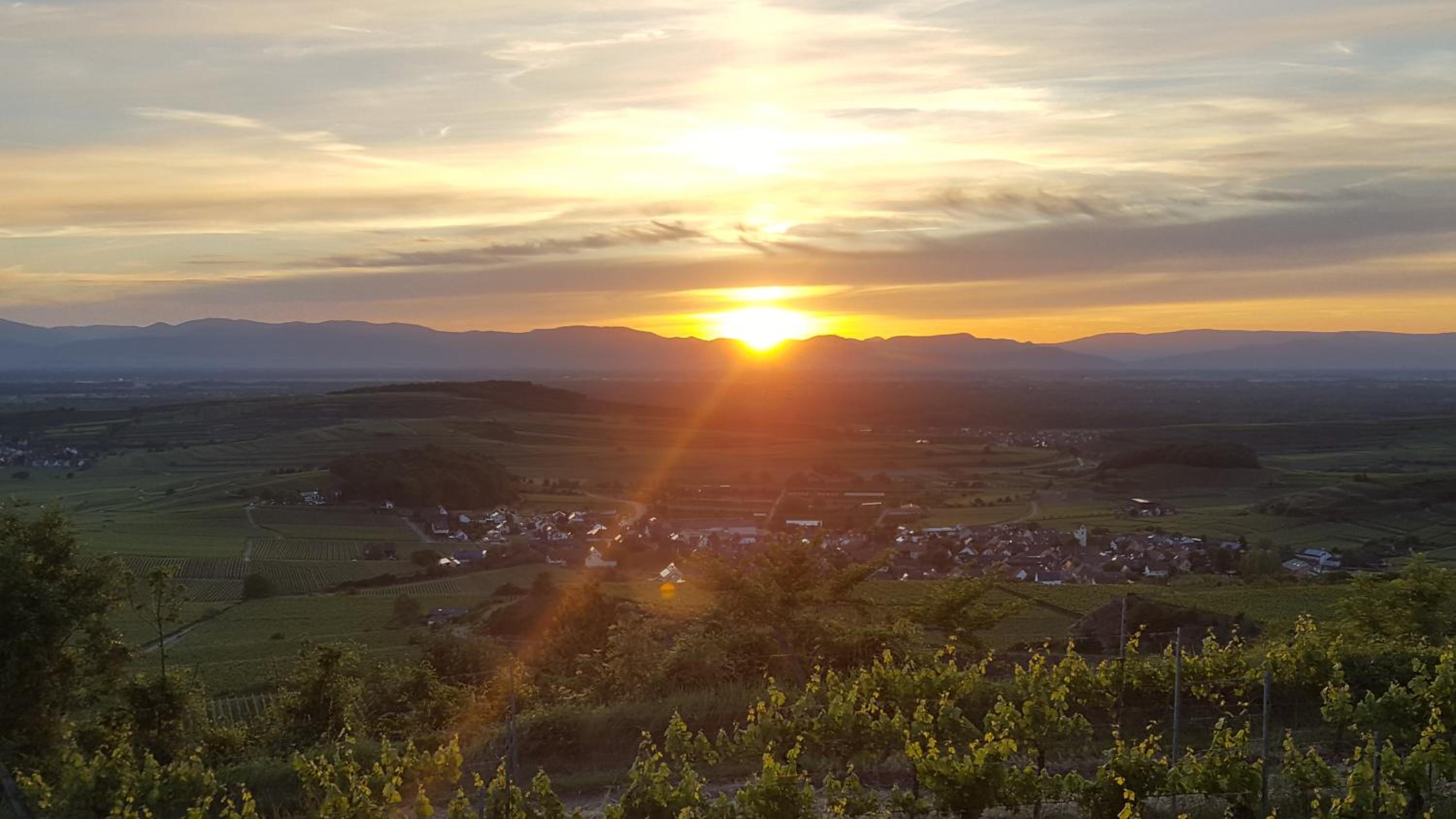 Gästehaus Casa Luna - Paradiesische Ferienwohnungen am Kaiserstuhl!