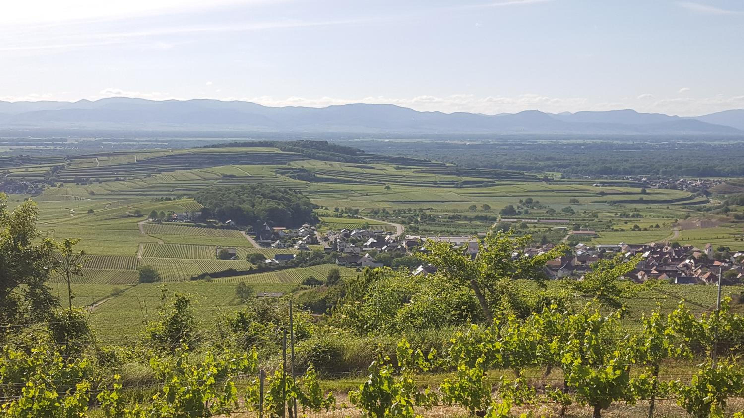 Gästehaus Casa Luna - Paradiesische Ferienwohnungen am Kaiserstuhl!