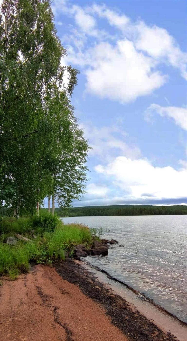 Photo 47