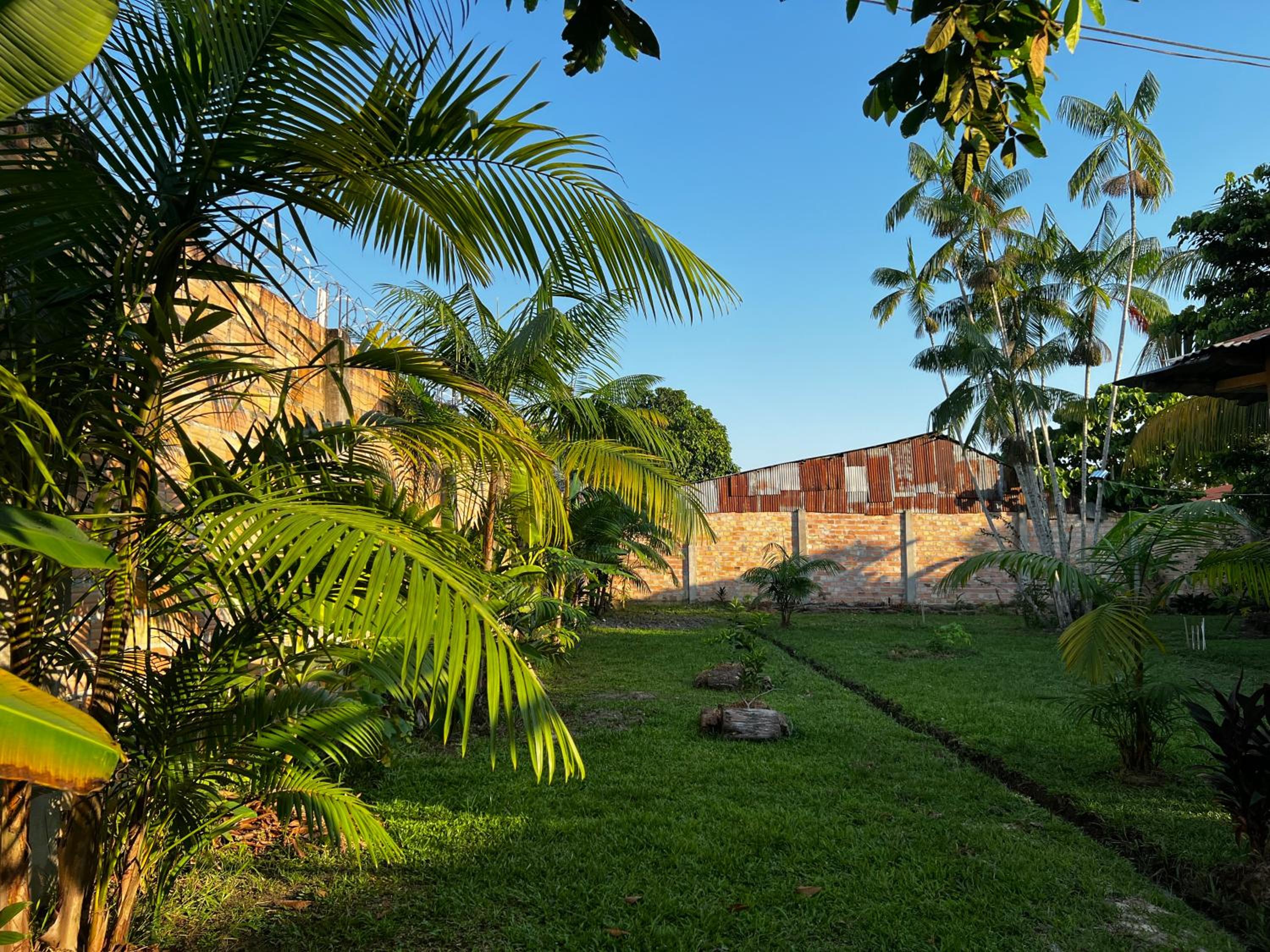 Photo 41