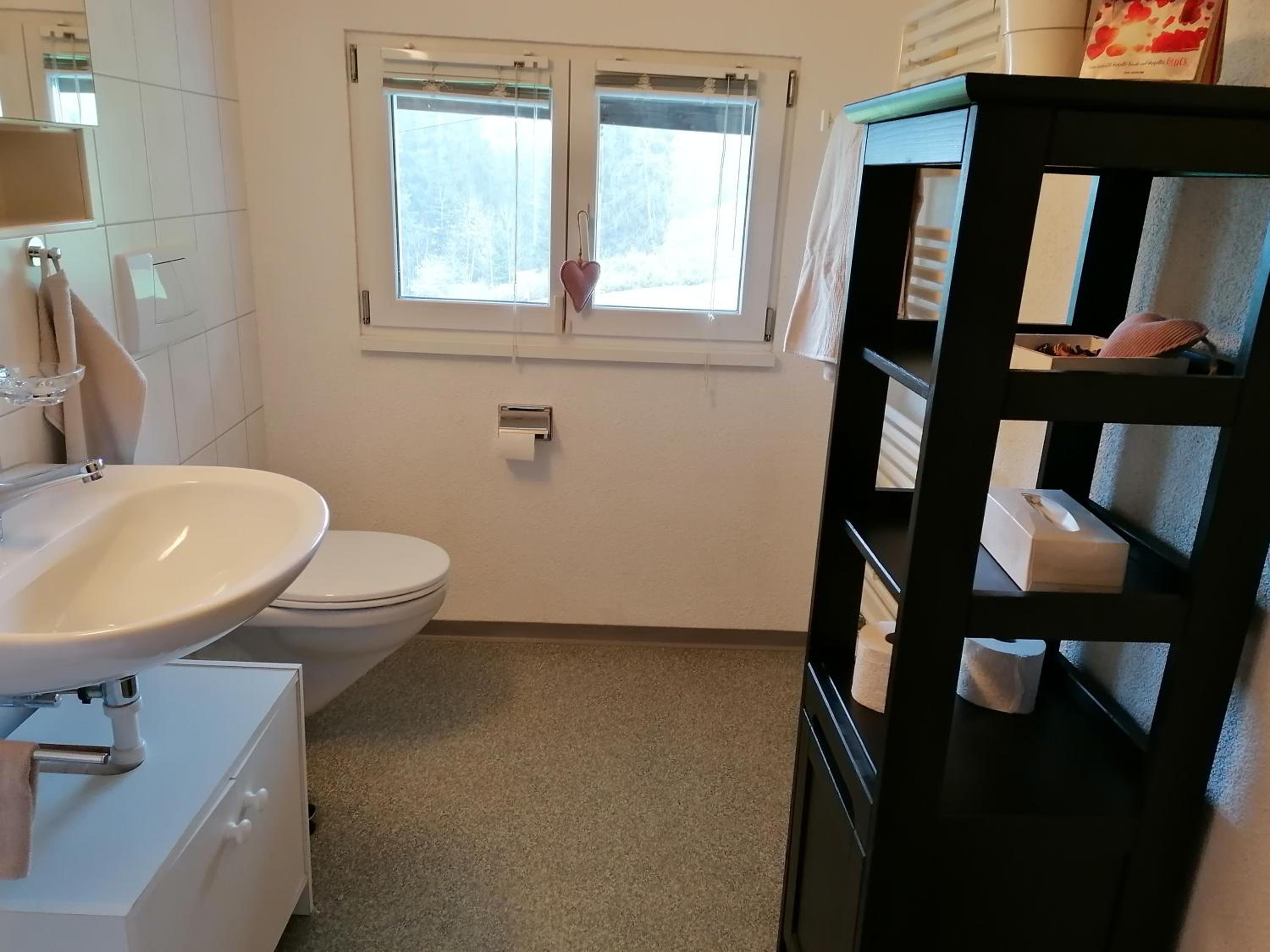 Schwellbrunn,Ferienwohnung mit Säntissicht
