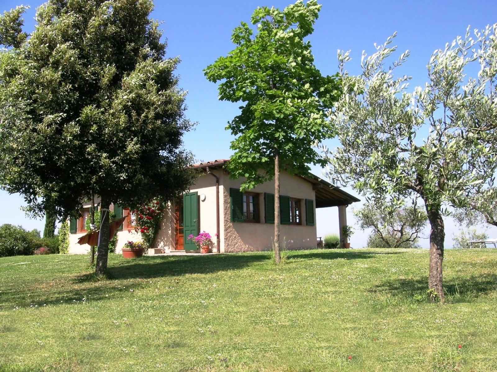 Photo 21