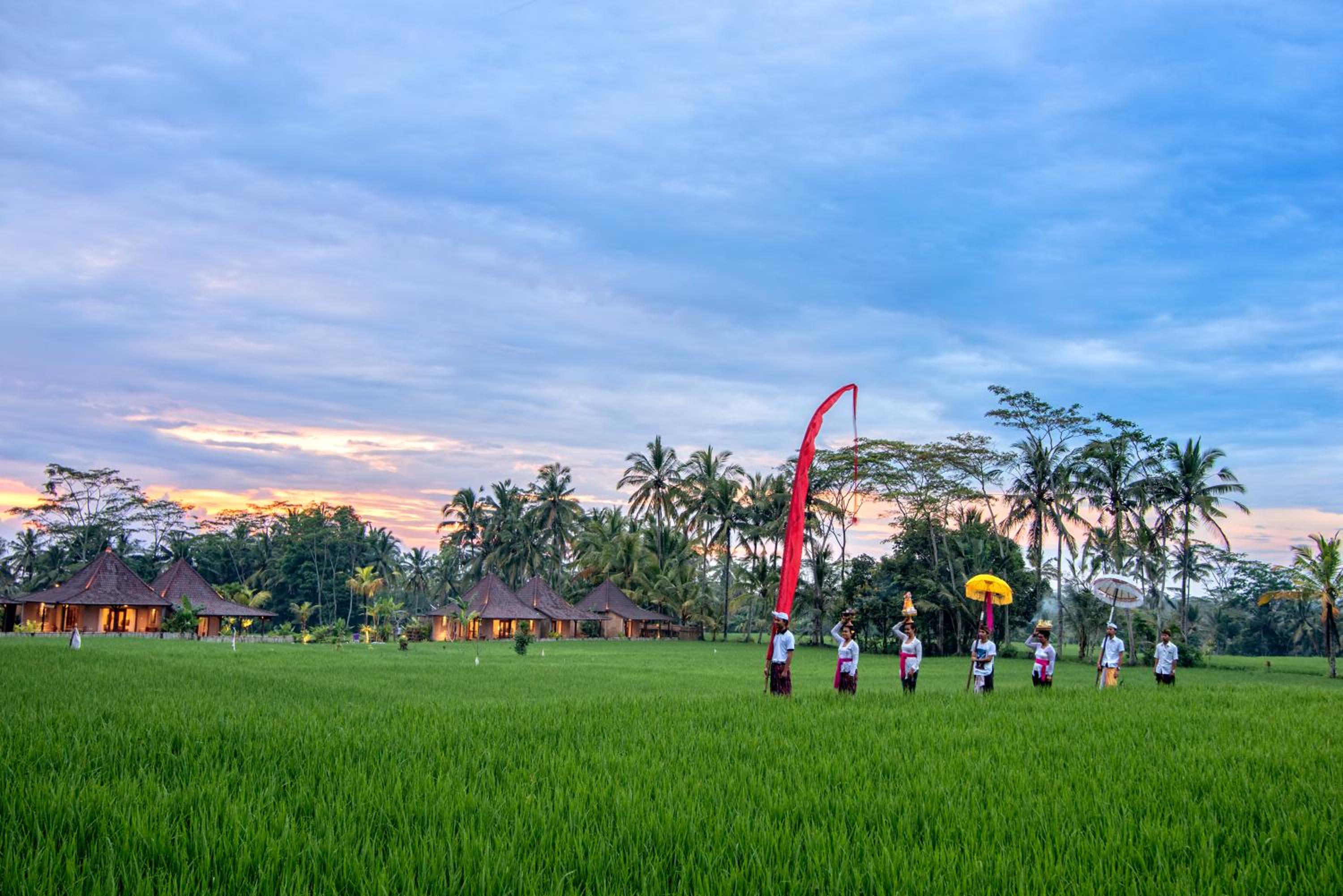 Intan Villa & Suite Ubud view 4