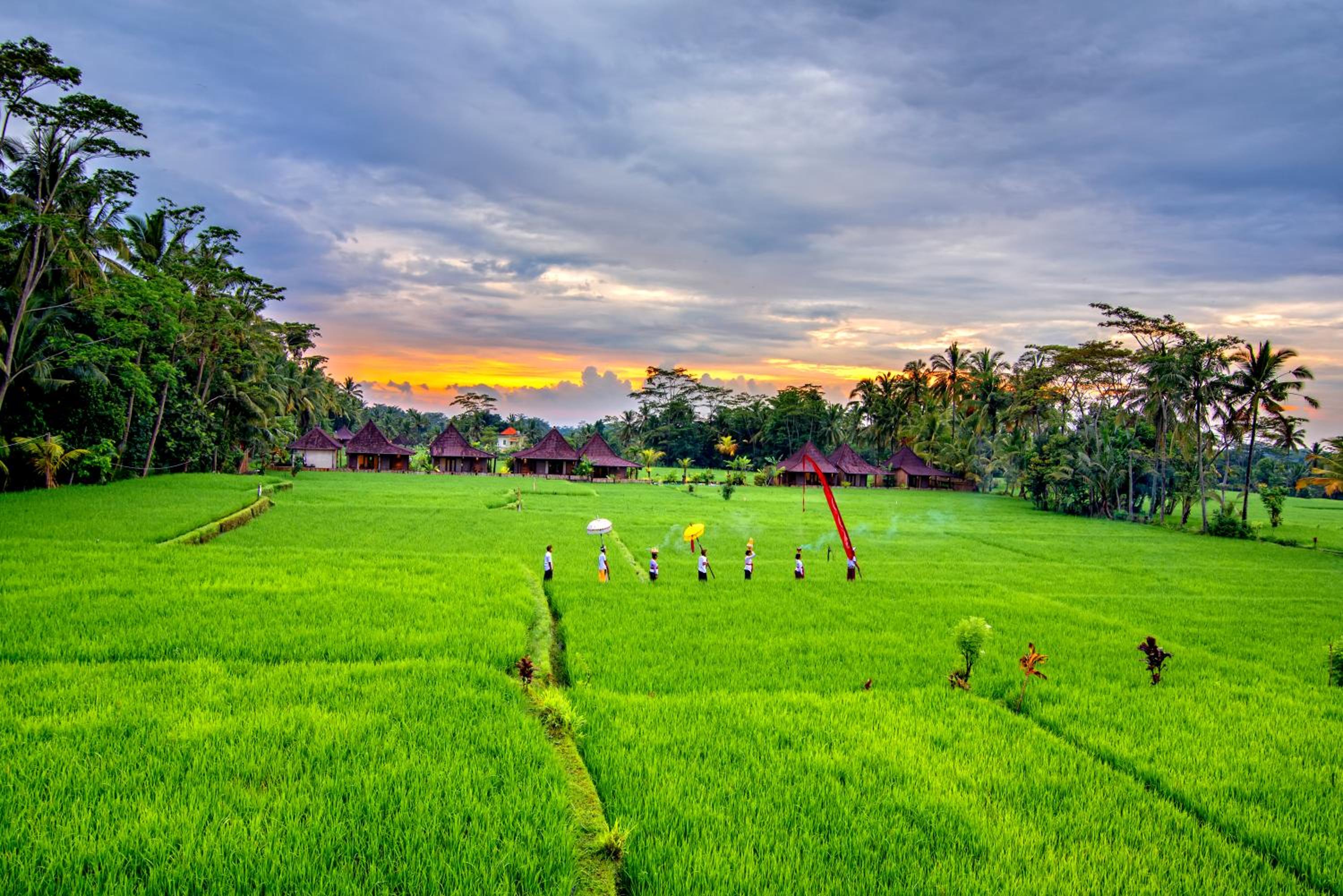 Intan Villa & Suite Ubud view 3