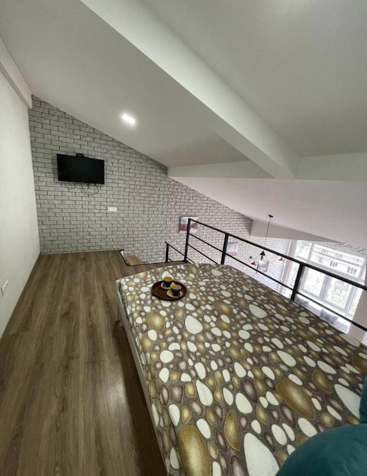 Big and comfortable apartment