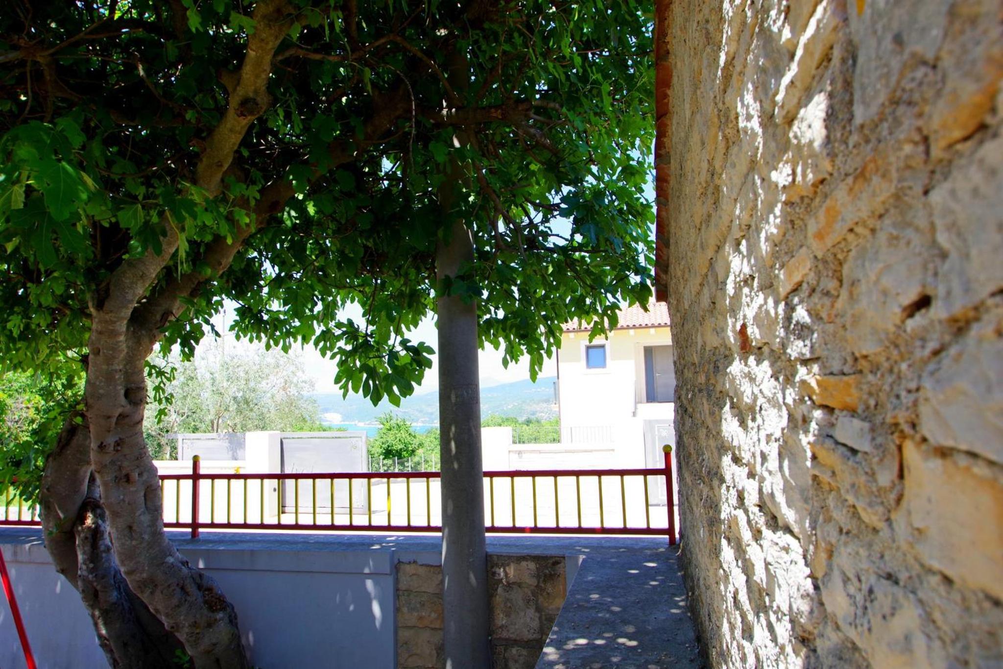 Photo 44