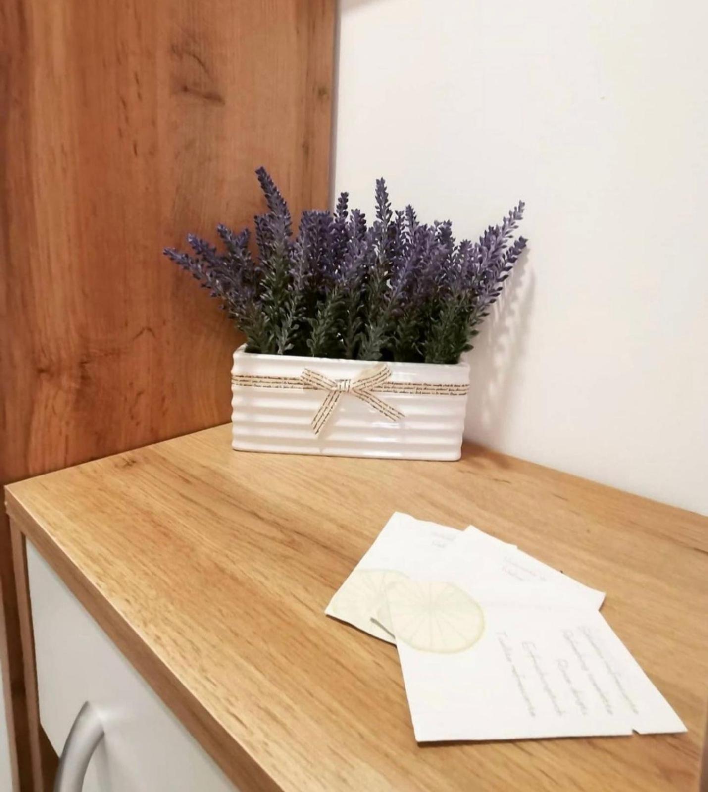 Apartman WIND Zlatibor view 5