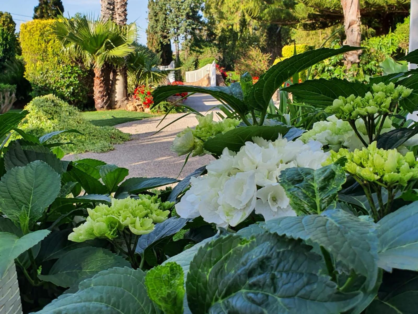 Arenosu Comfort Country Guesthouse view 5