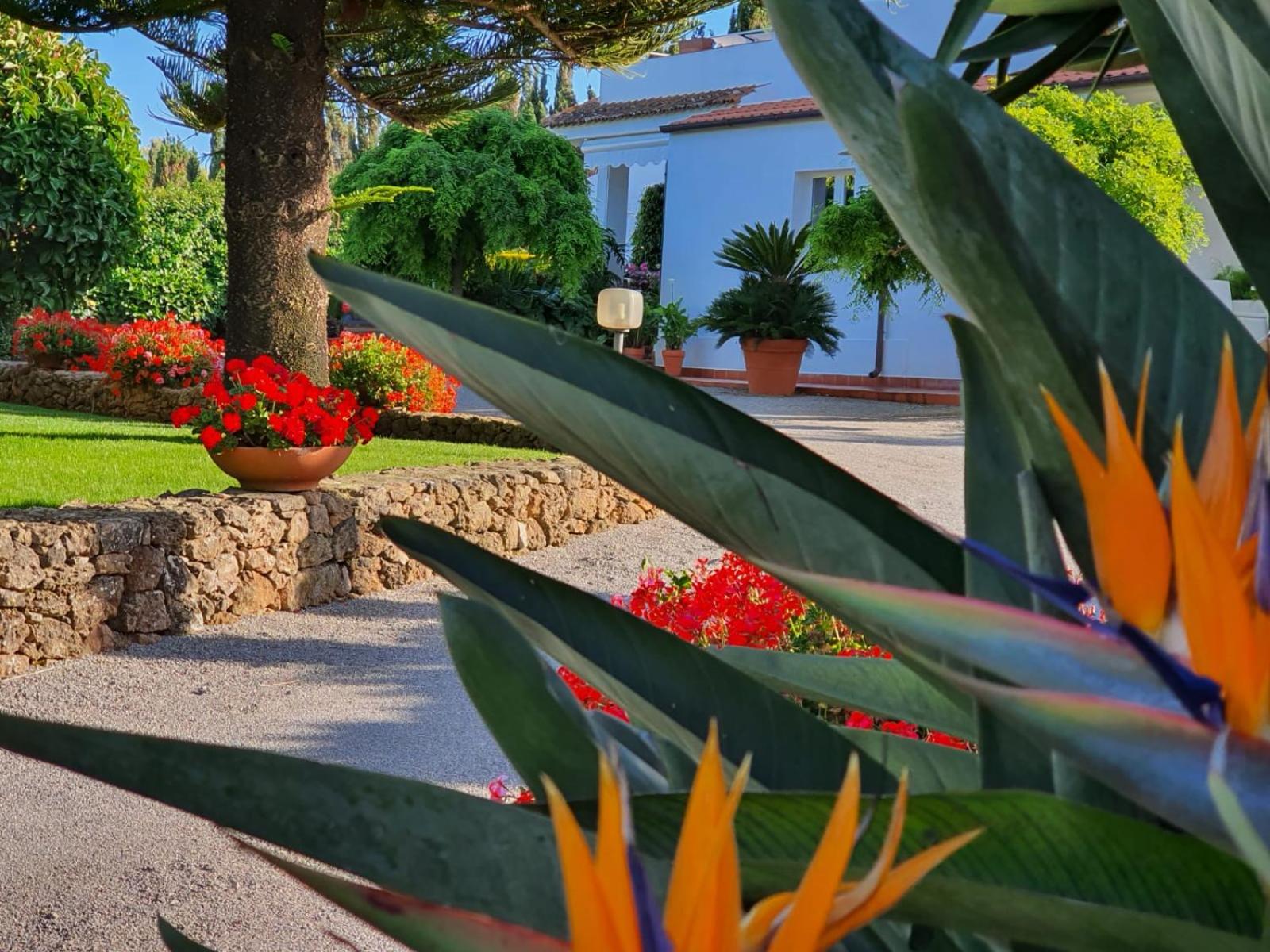 Arenosu Comfort Country Guesthouse view 2