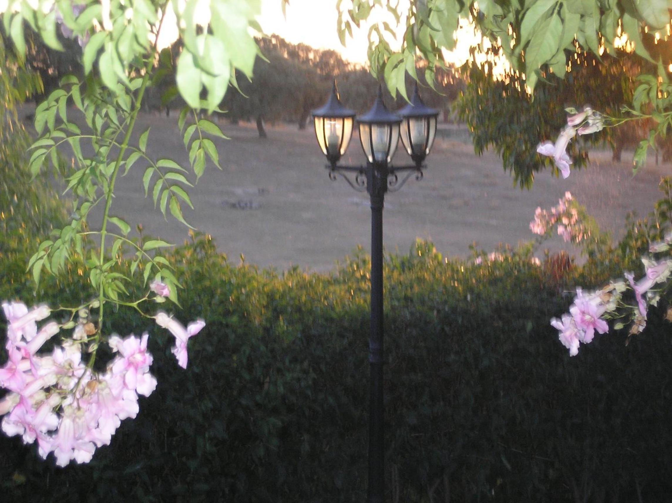 Photo 42