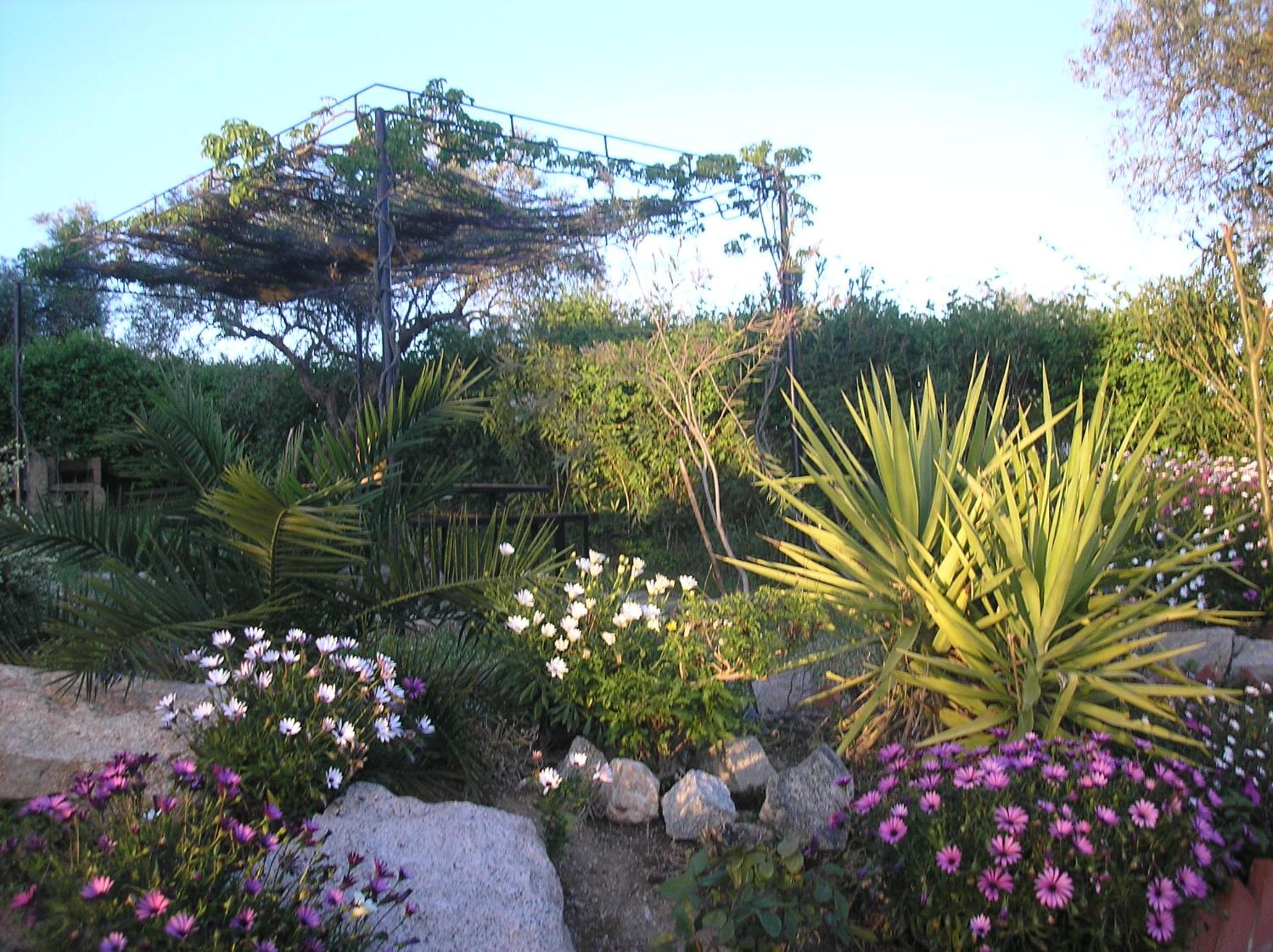 Photo 46