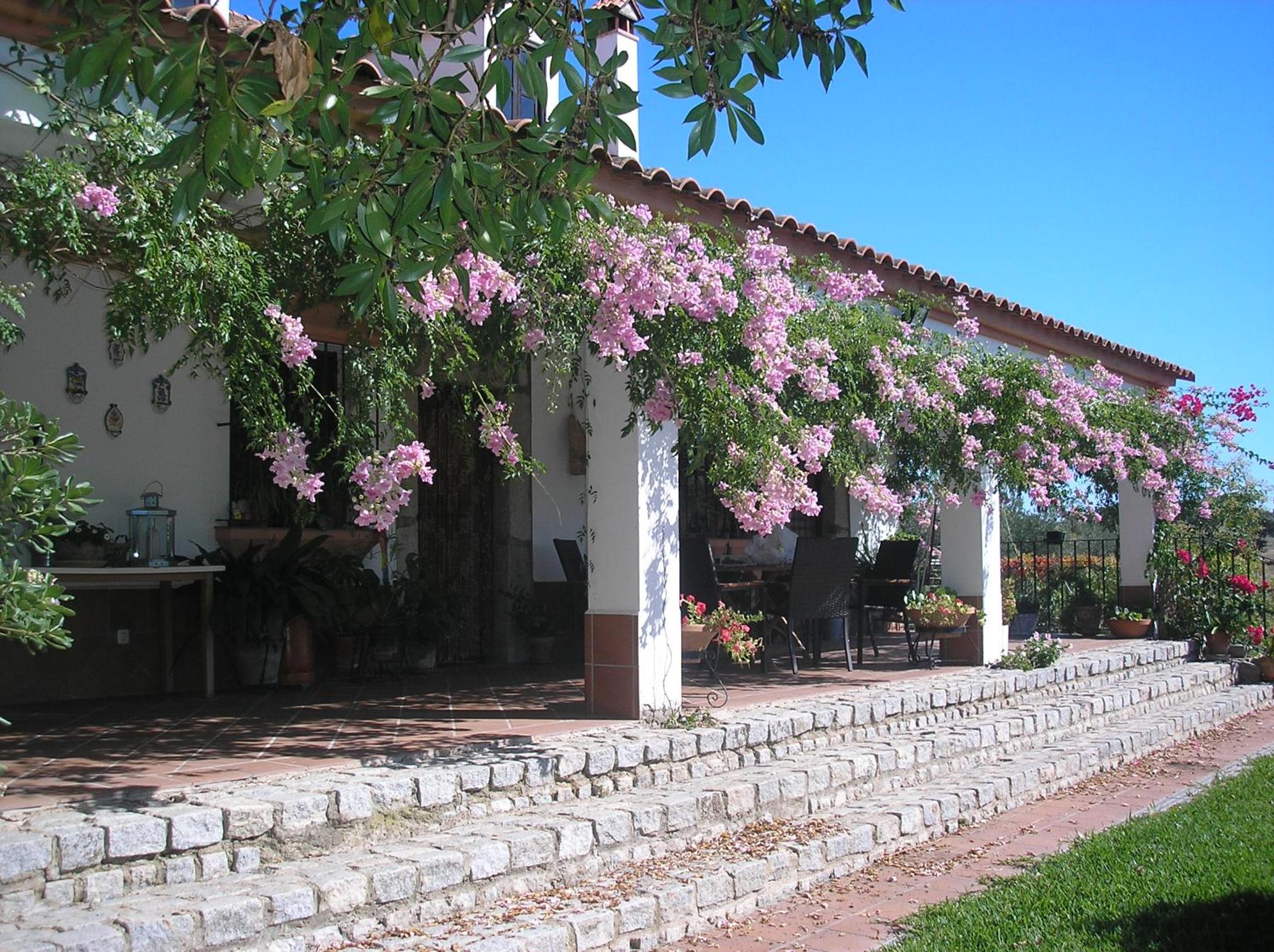 Casa Rural "El Carrasca" view 2
