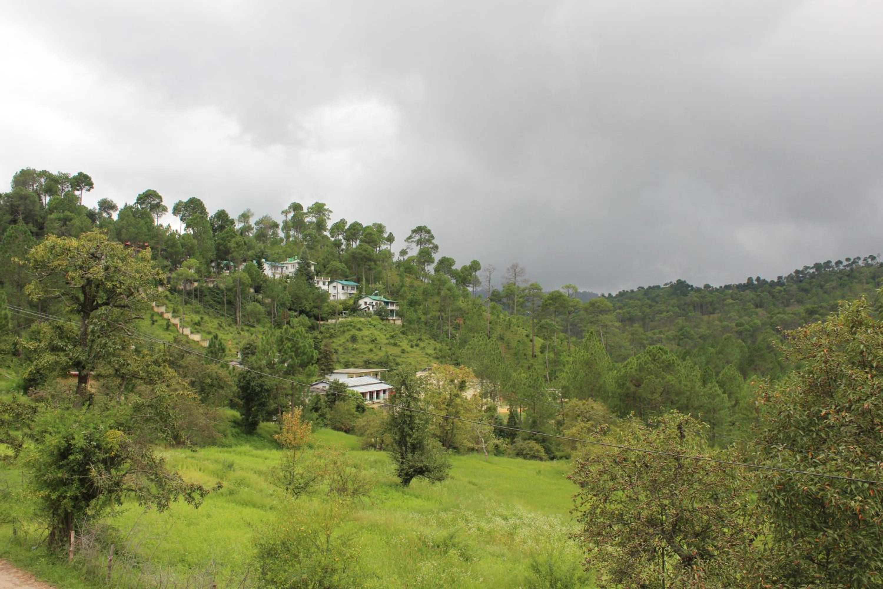 Photo 20