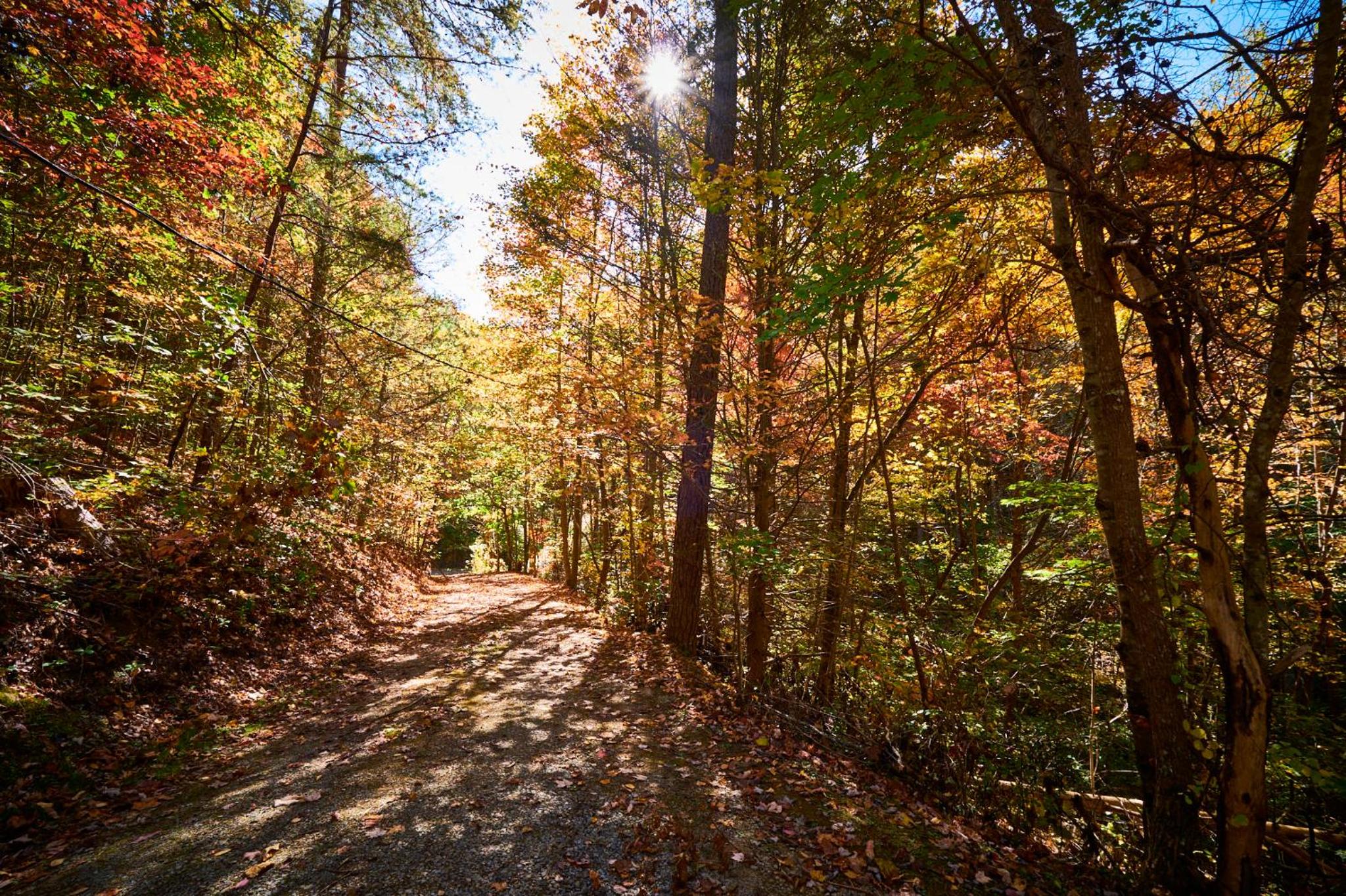 Gatlinburg Adventure Cabins