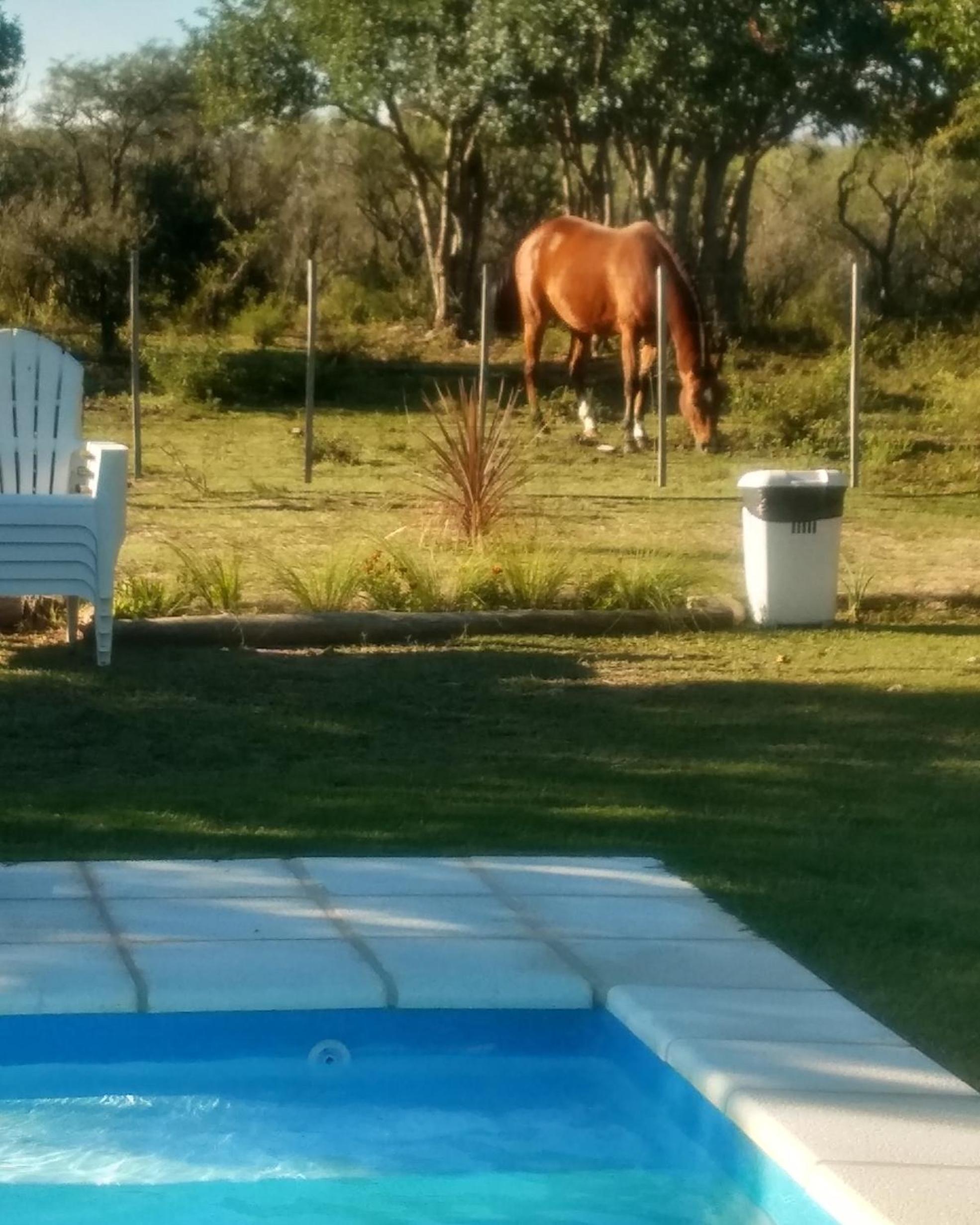 Cabañas Paraje Noviembre