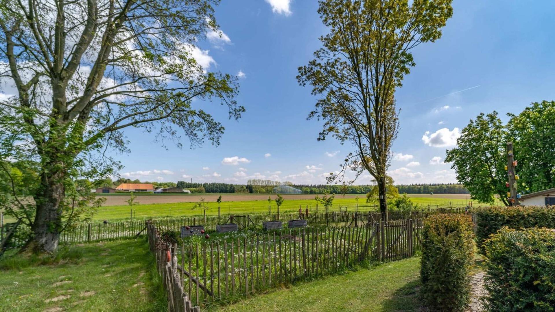 Ferienwohnung Die Paradiesische