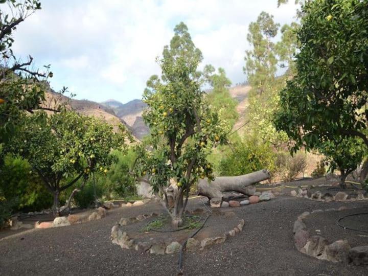Casa Colonia