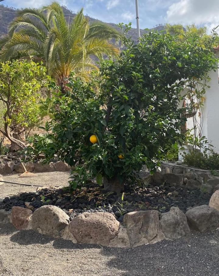 Casa Colonia