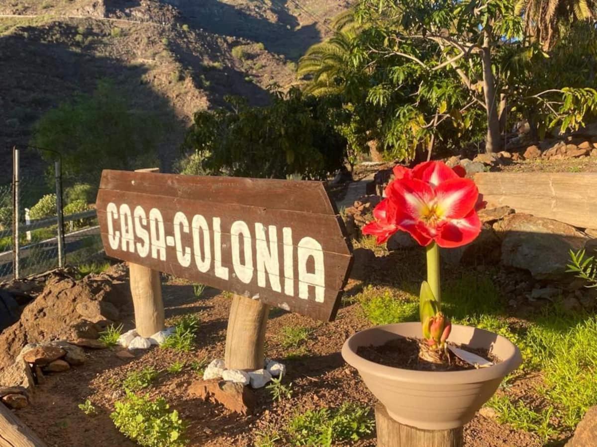Casa Colonia