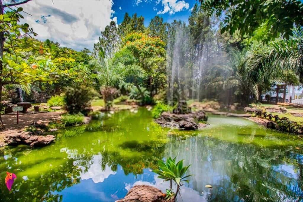 Diroma Fiori 85 com roupa de cama e banho um paraíso nas aguas termais