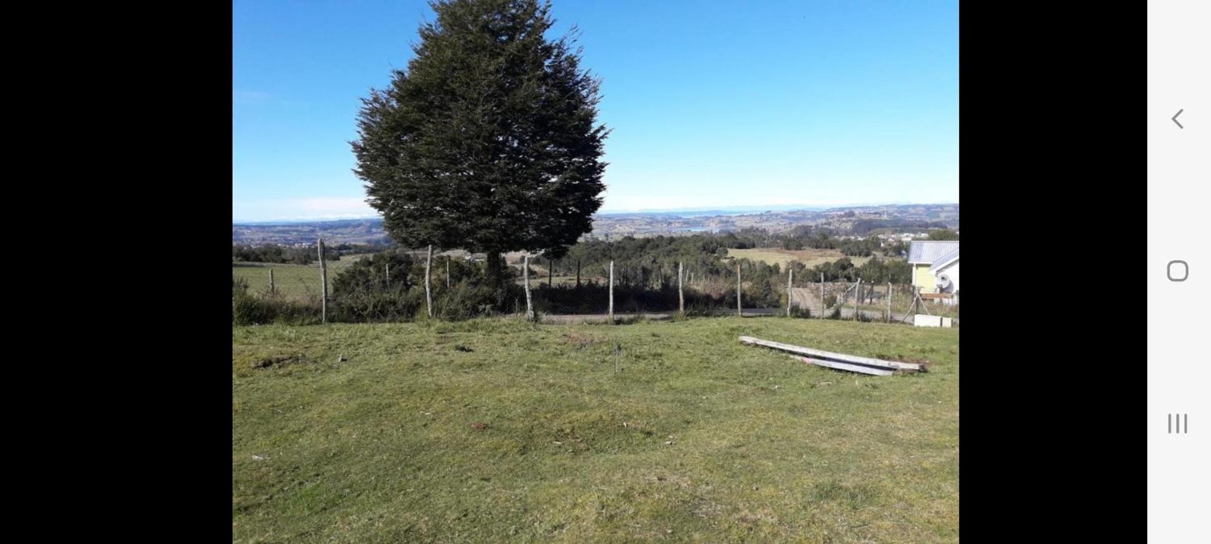 Agroturismo los Colihues