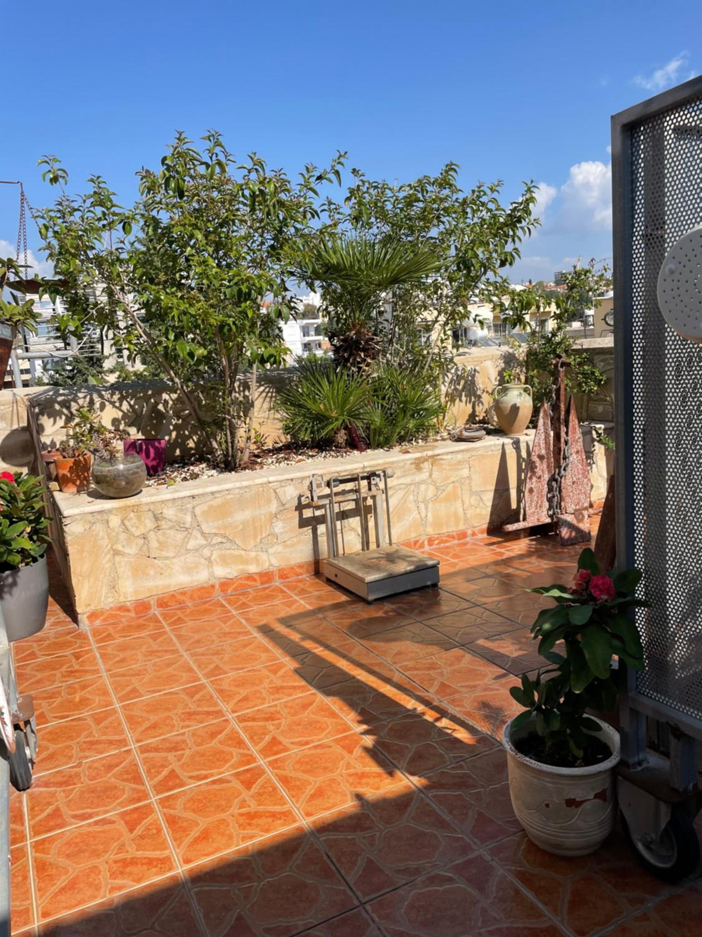 MP Cozy Apartment Near the Sea view 4